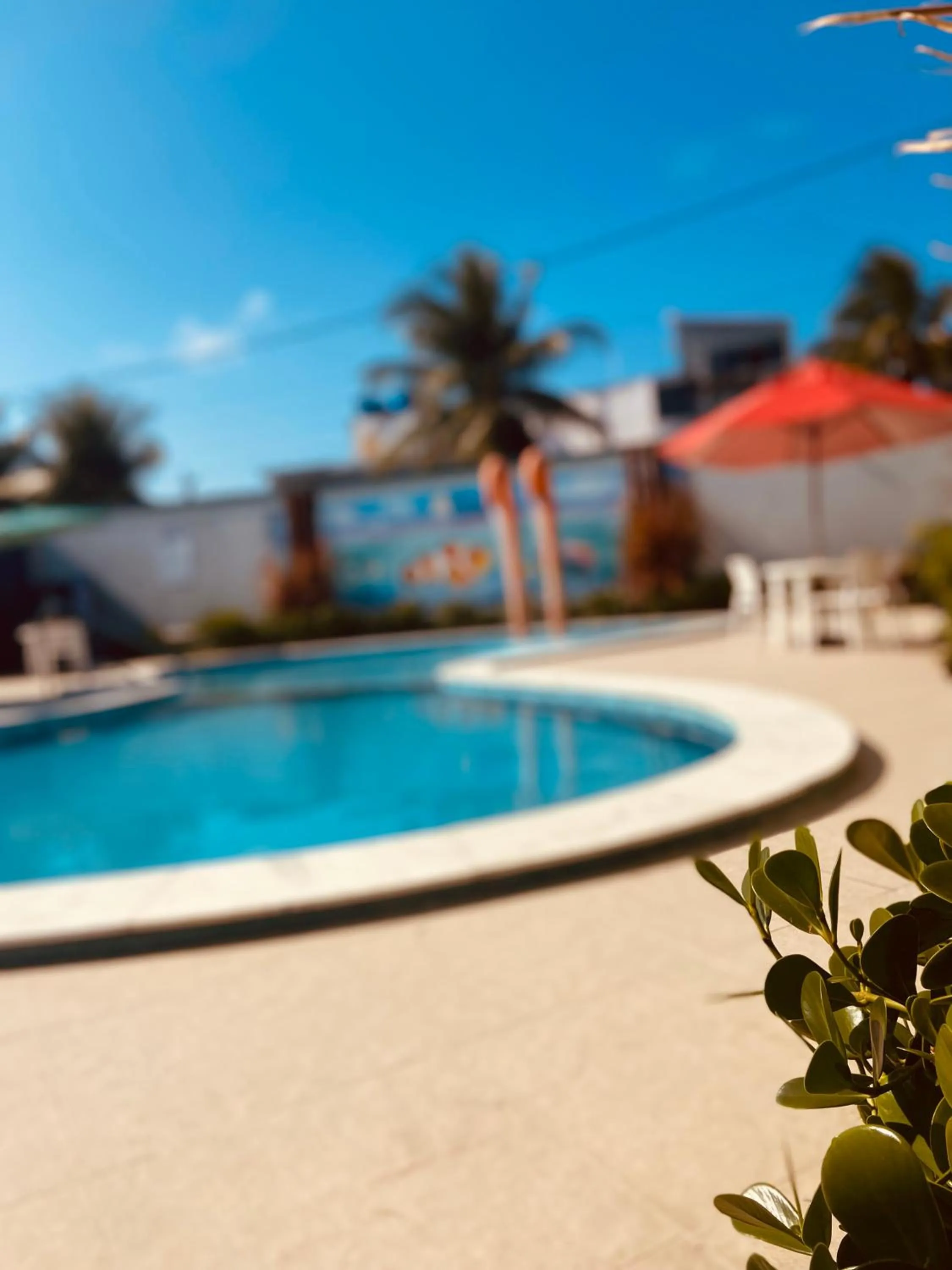 Day in Hotel Enseada dos Corais