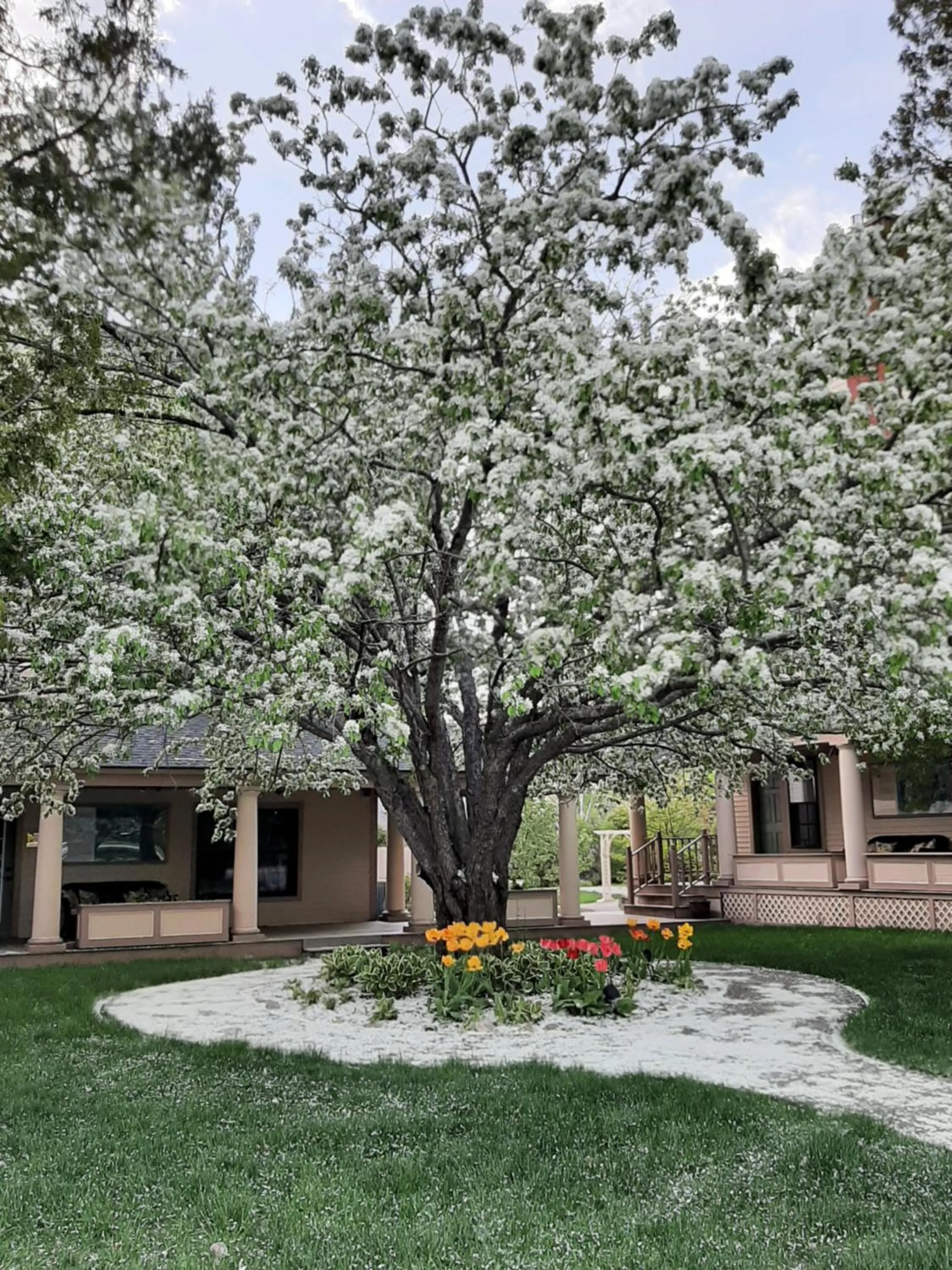 Garden in The Wentworth