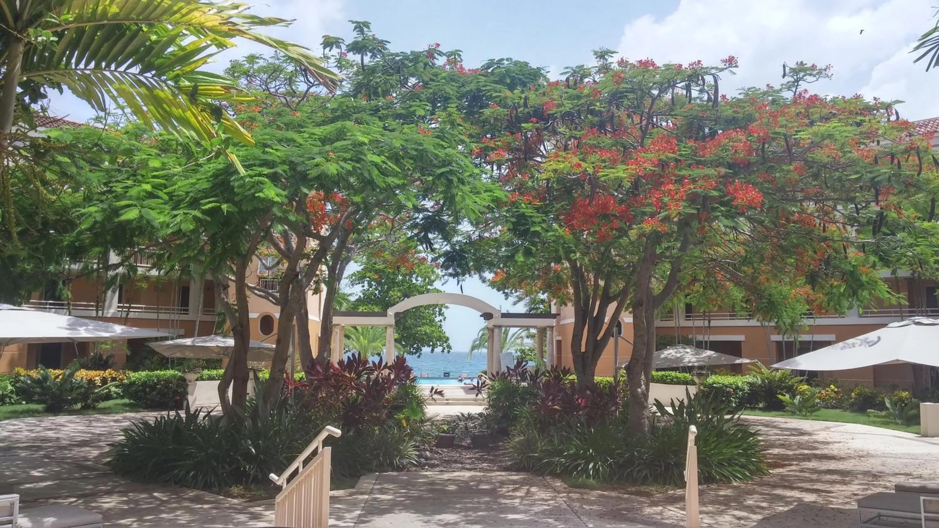 Garden in Rincon Beach Resort