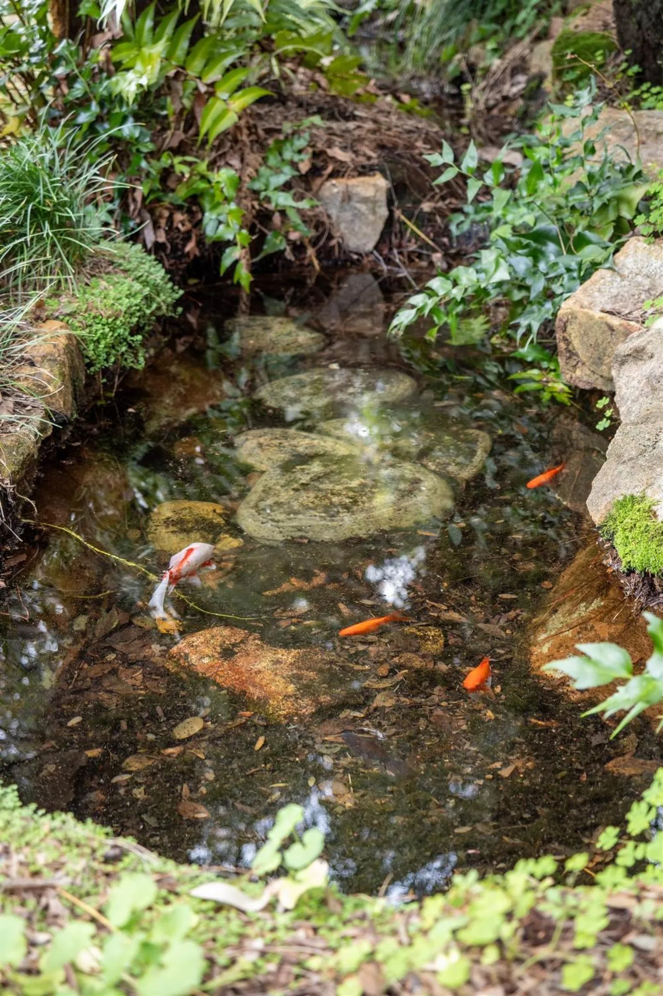 Day in Heritage Trail Lodge