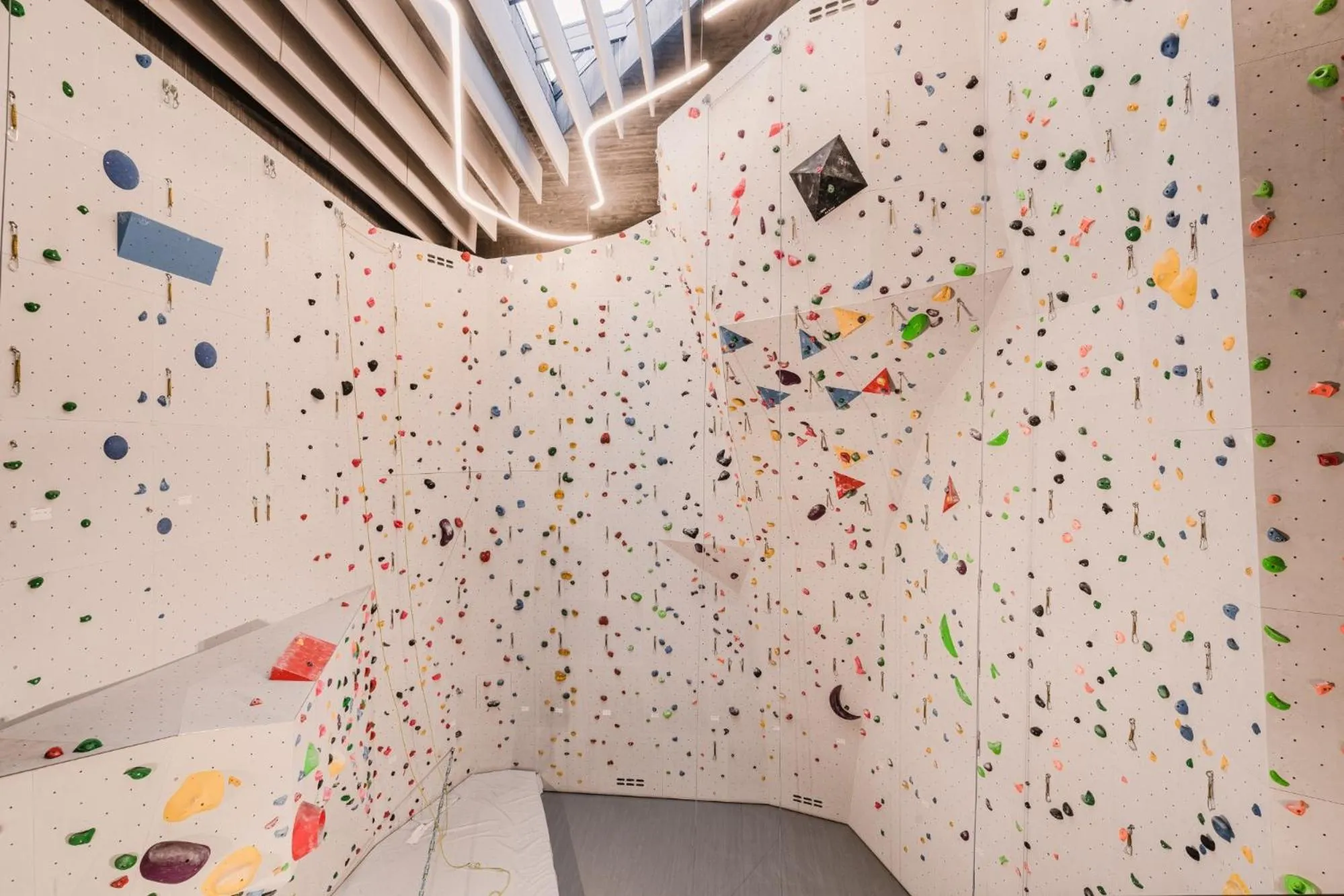 Activities in Aethos Monterosa