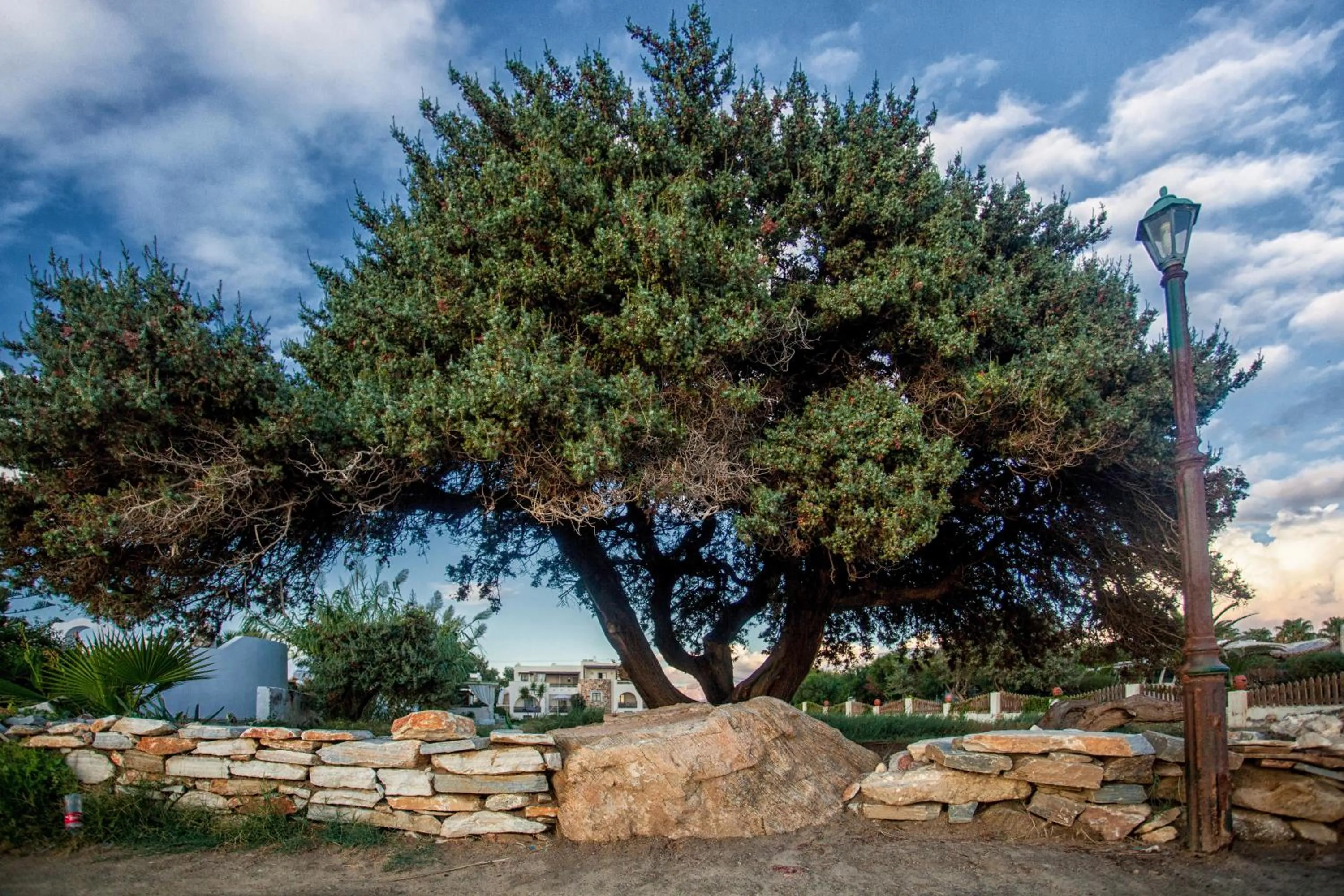Natural landscape in Athina Studios and Suites Plaka
