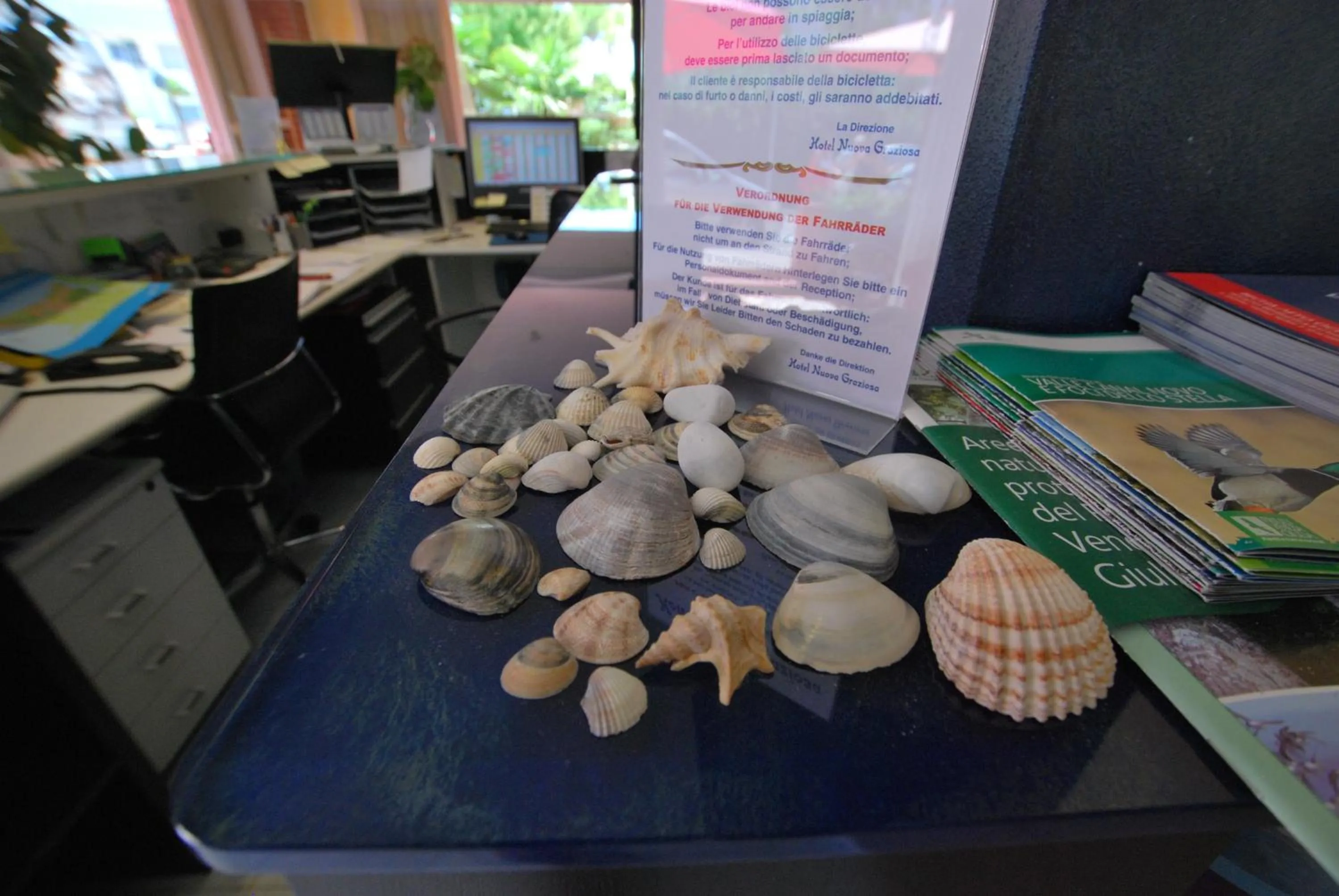 Lobby or reception in Hotel Nuova Graziosa