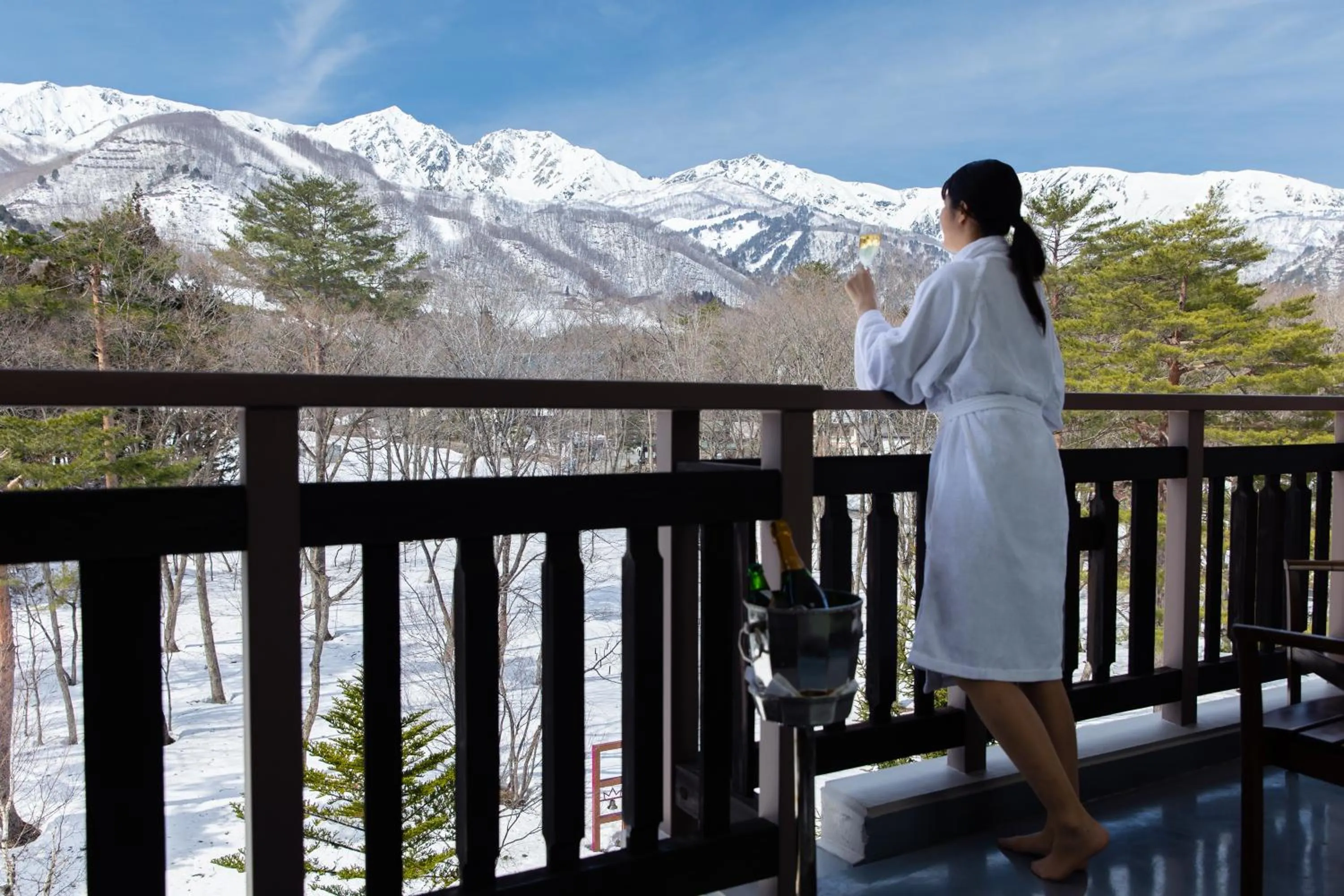 View (from property/room) in Hakuba Tokyu Hotel