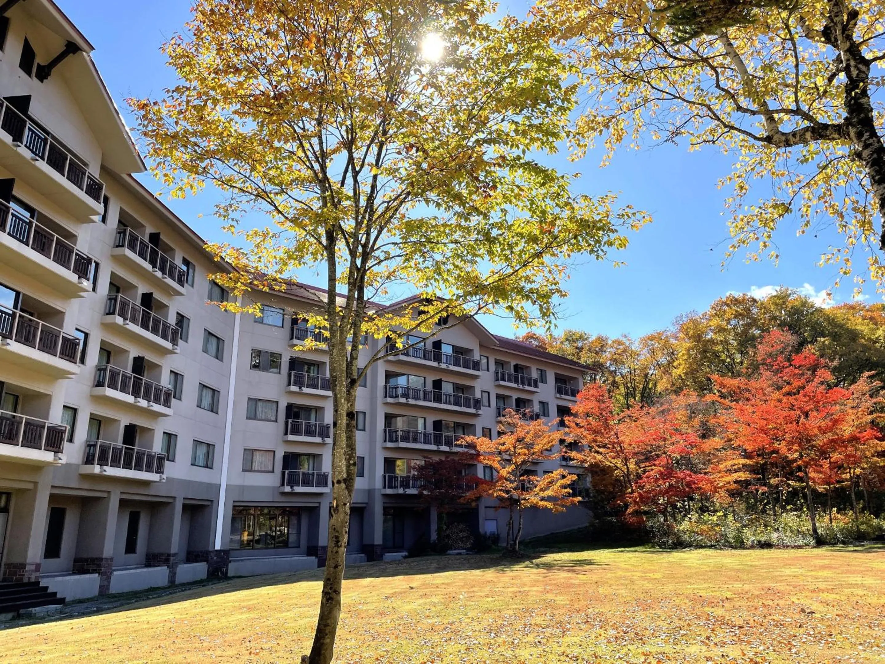 Garden in Hakuba Tokyu Hotel