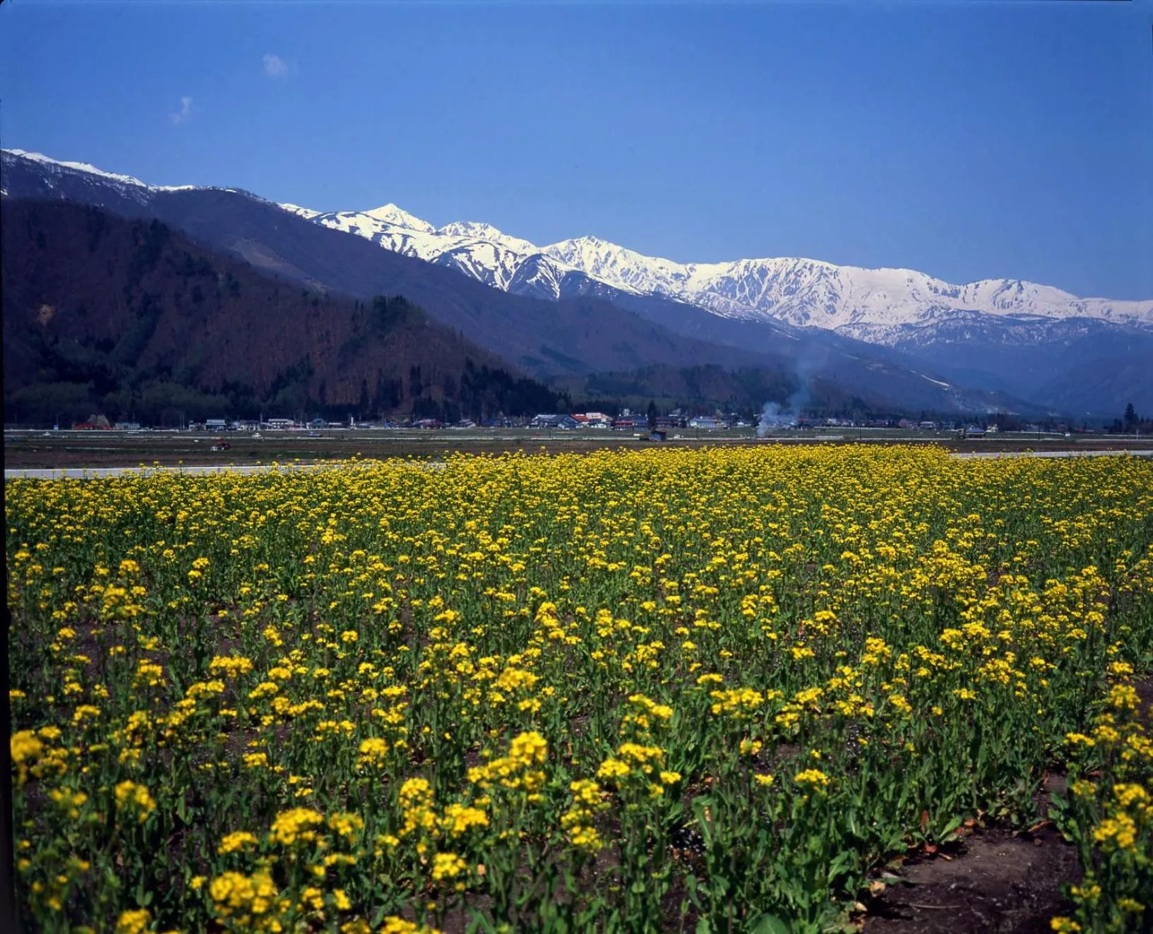 Spring in Hakuba Tokyu Hotel