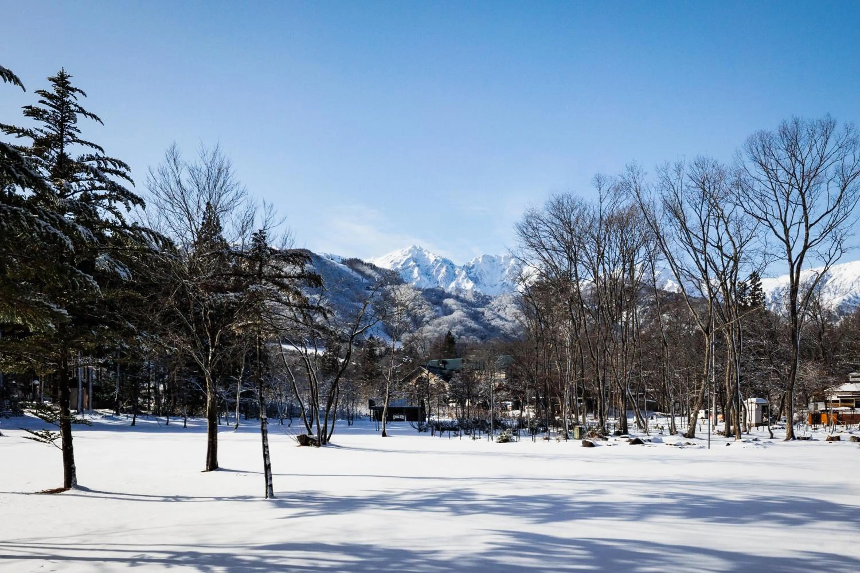 Property building in Hakuba Tokyu Hotel