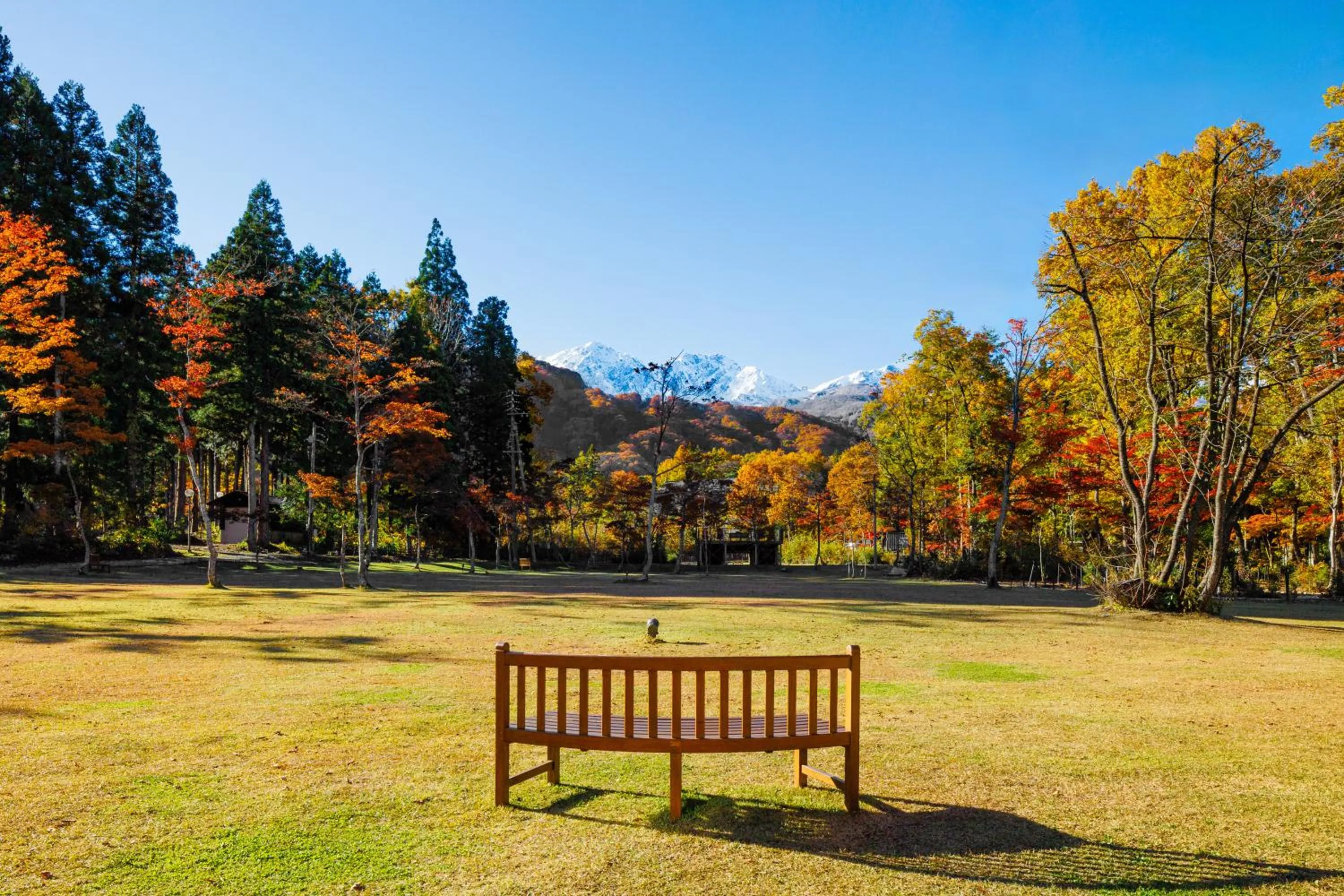 Restaurant/places to eat in Hakuba Tokyu Hotel