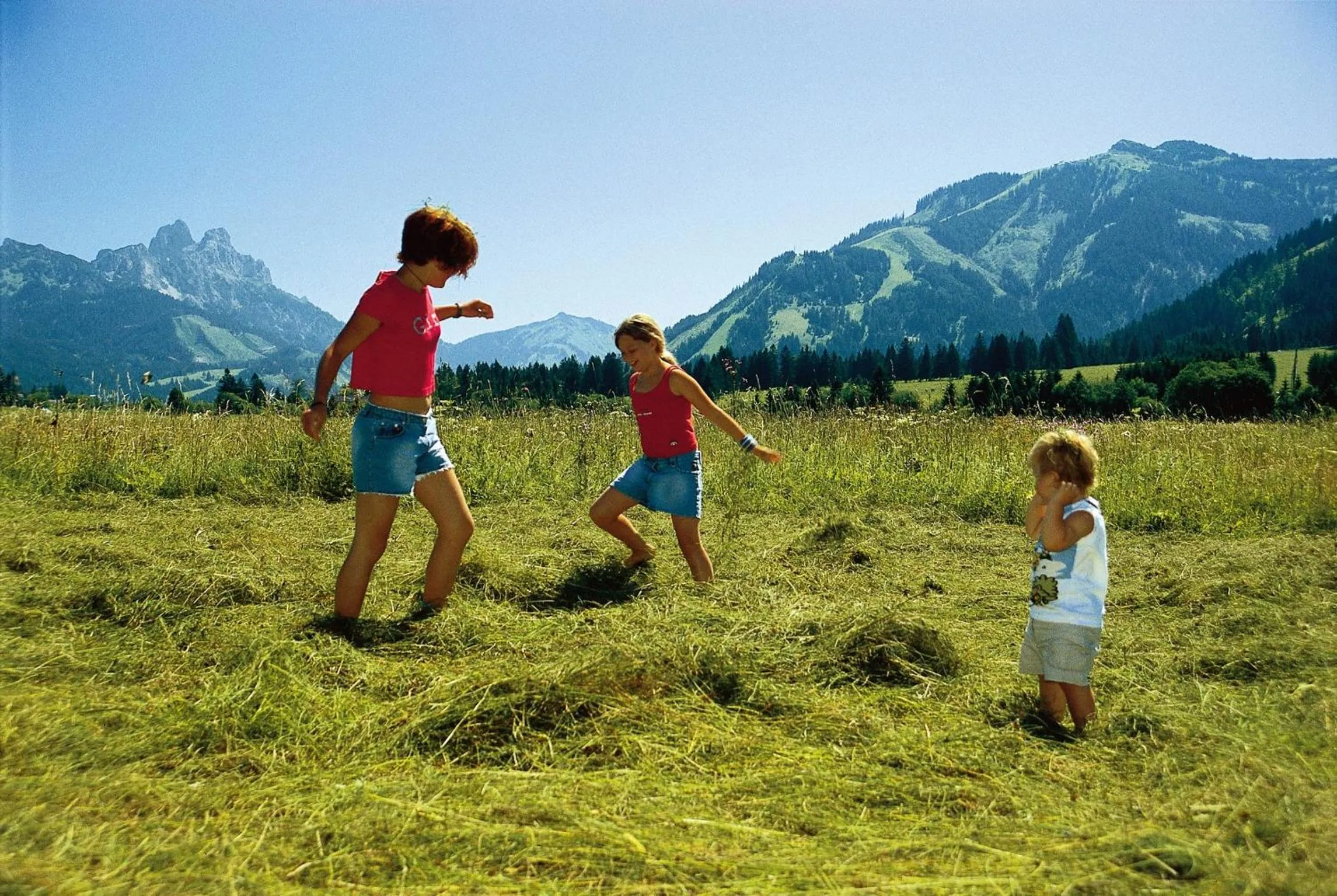 Area and facilities in Garni Hotel Wildanger