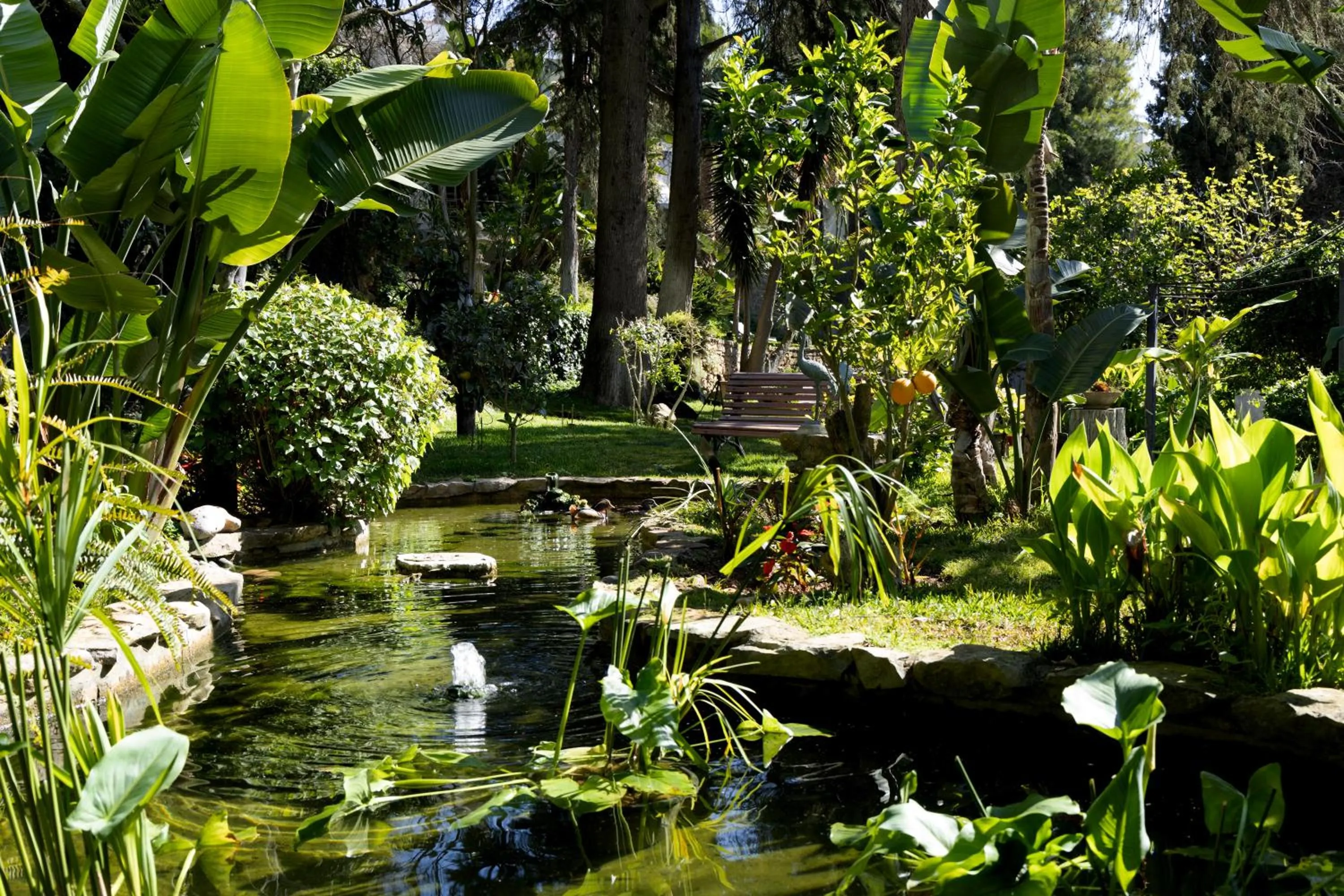 Casa Vela Boutique House