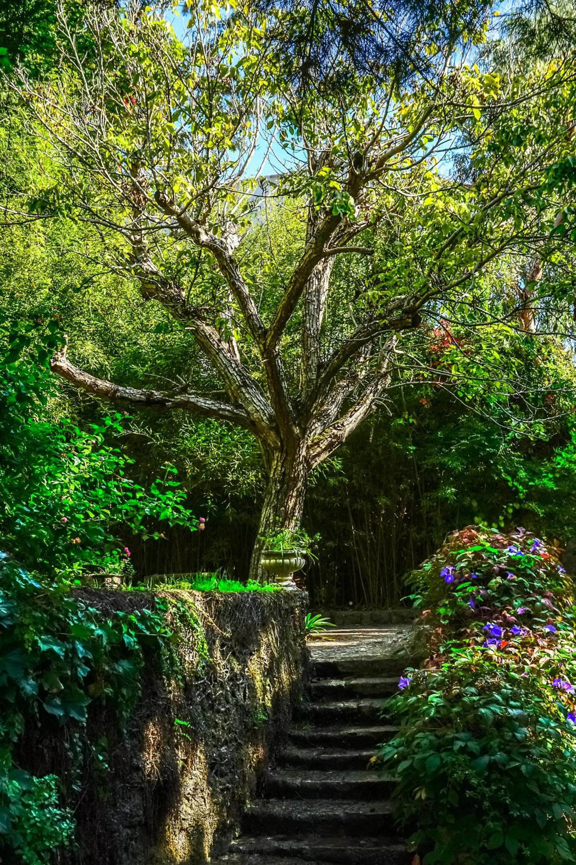 Garden in Casa Vela Boutique House