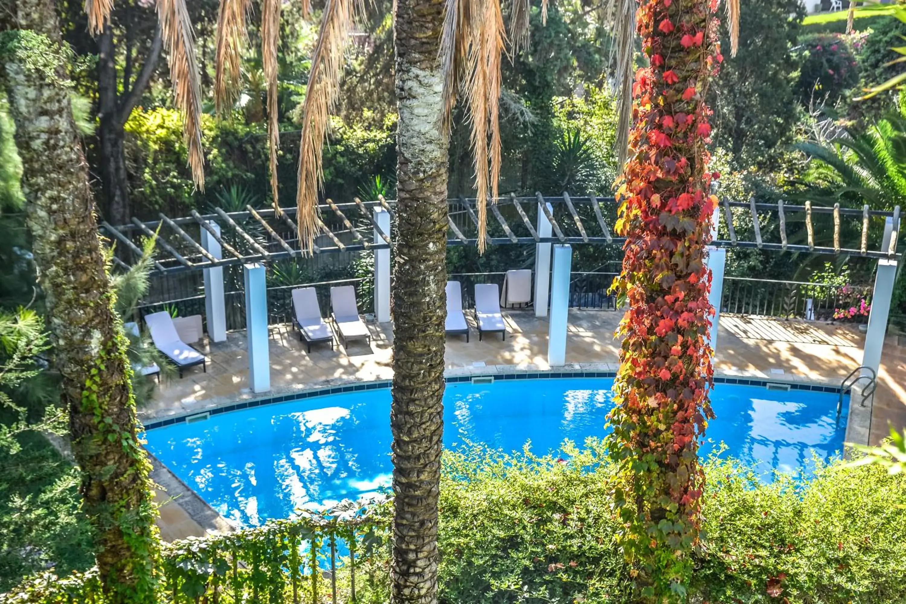 Pool view in Casa Vela Boutique House Pool view in Casa Vela Boutique House