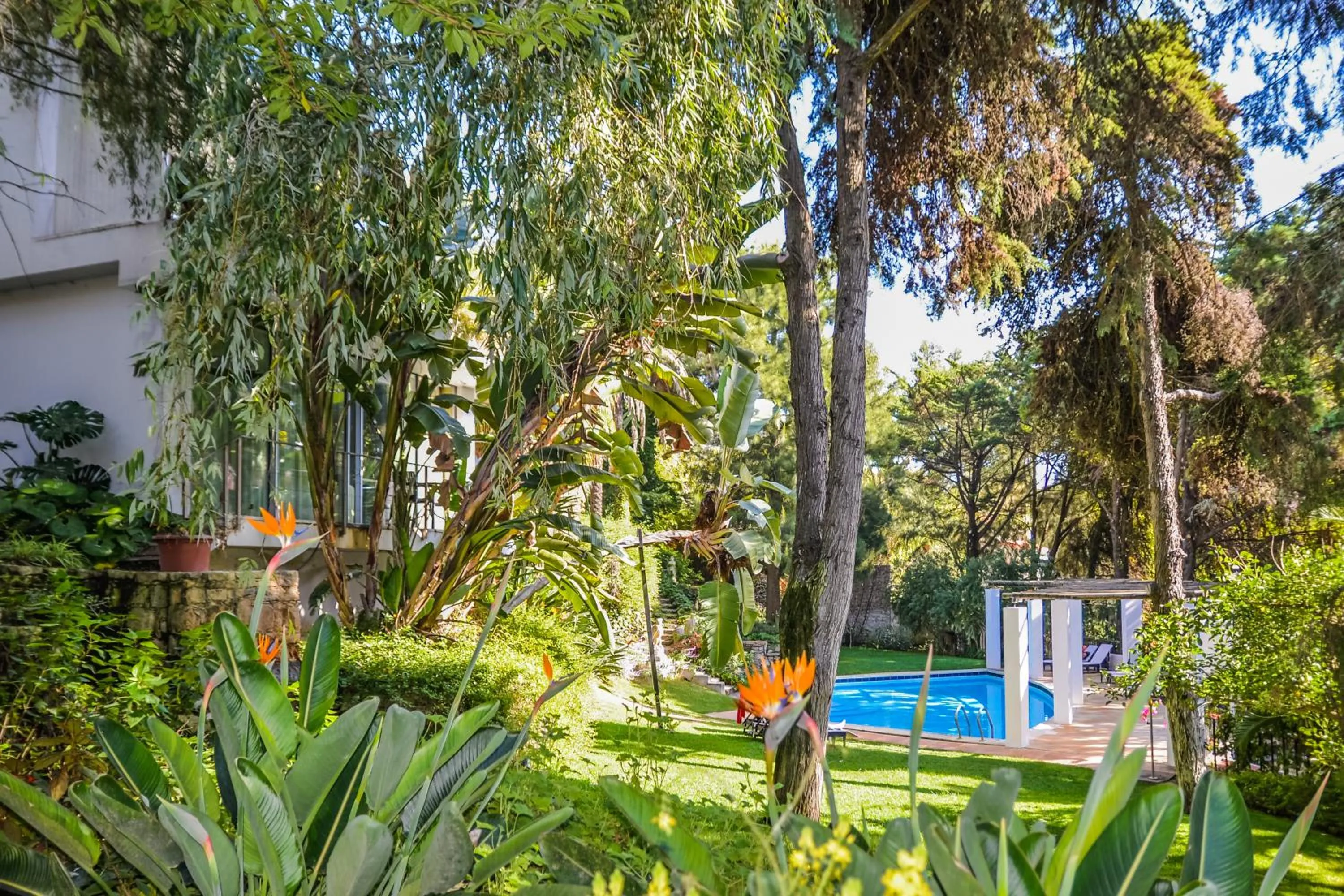 Garden in Casa Vela Boutique House