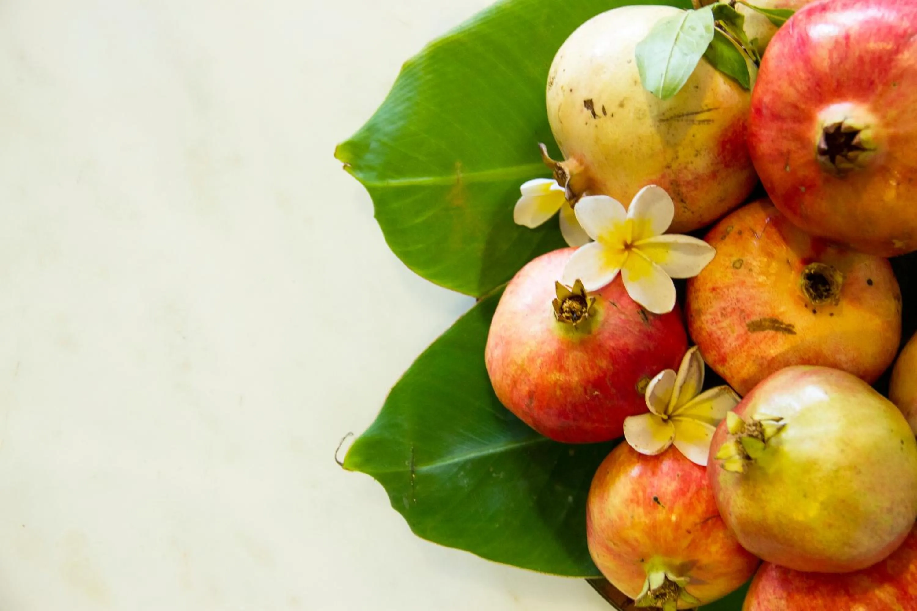 Decorative detail in Lycasti Maisonettes