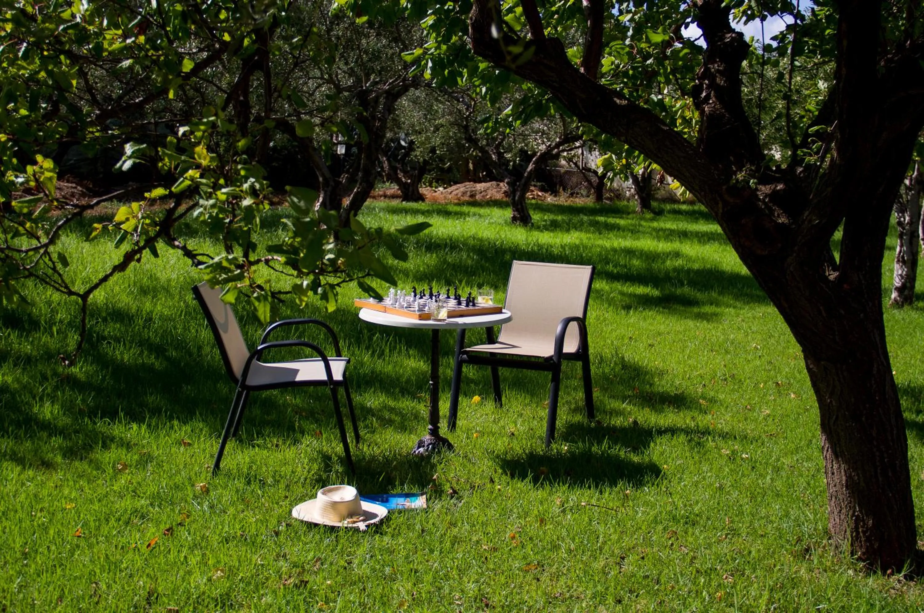 Garden view in Lycasti Maisonettes