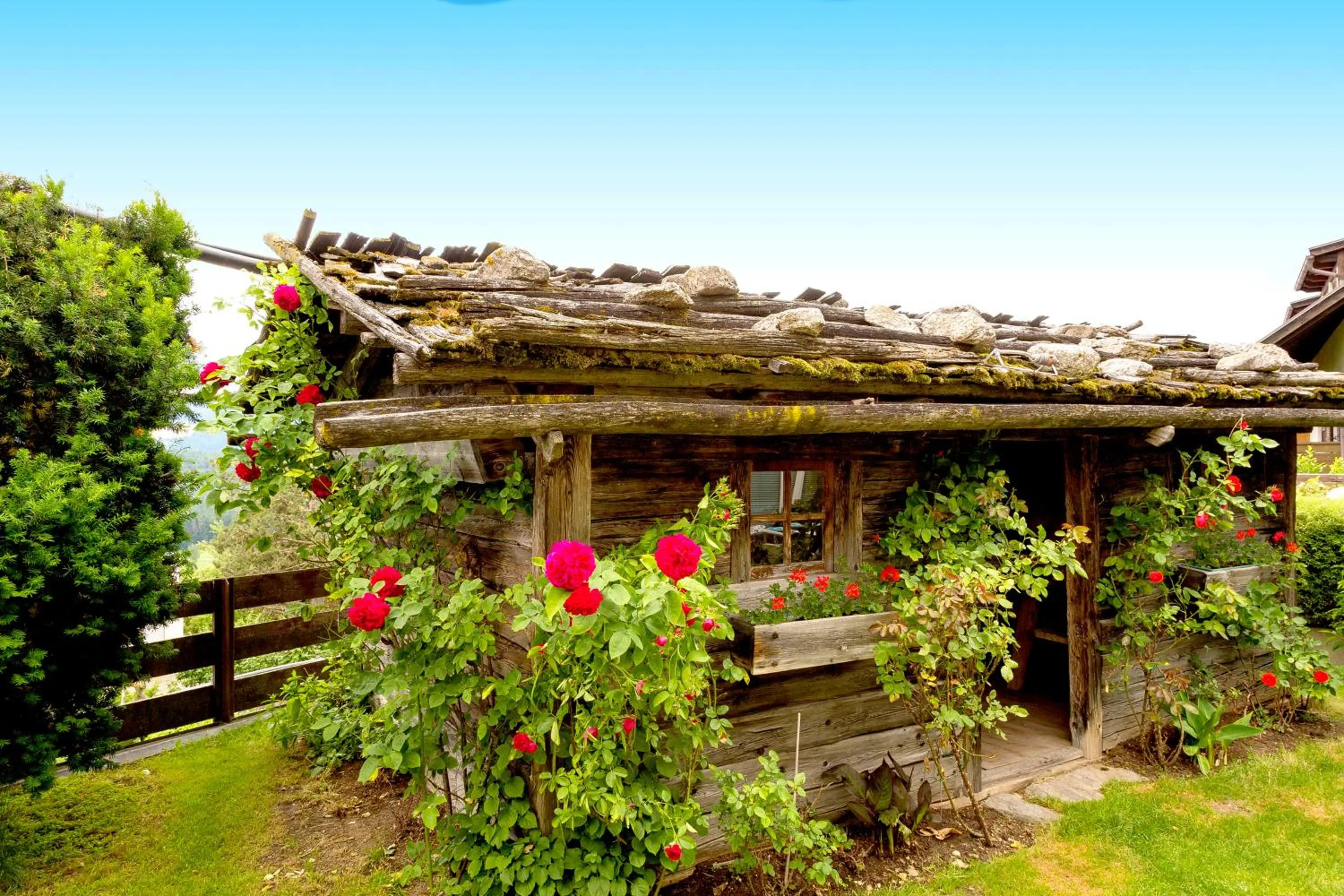 Garden in Hotel Kristall