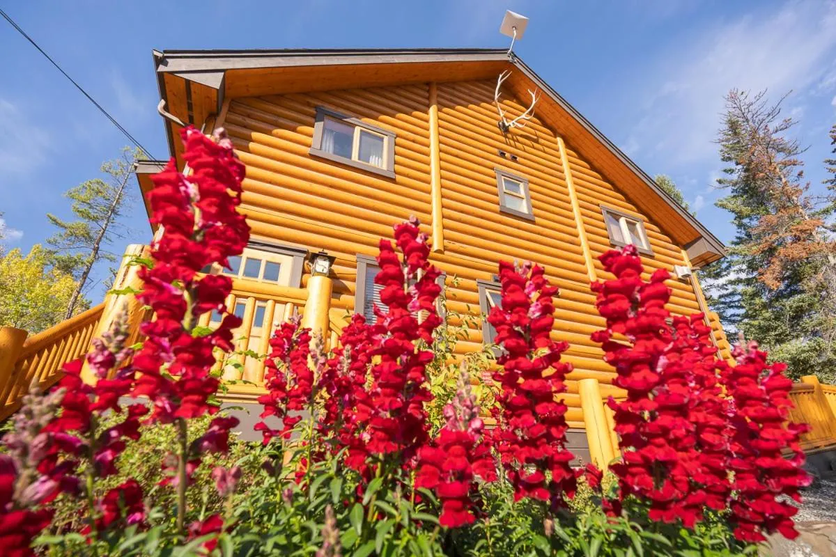 Garden in Castle Mountain Chalets