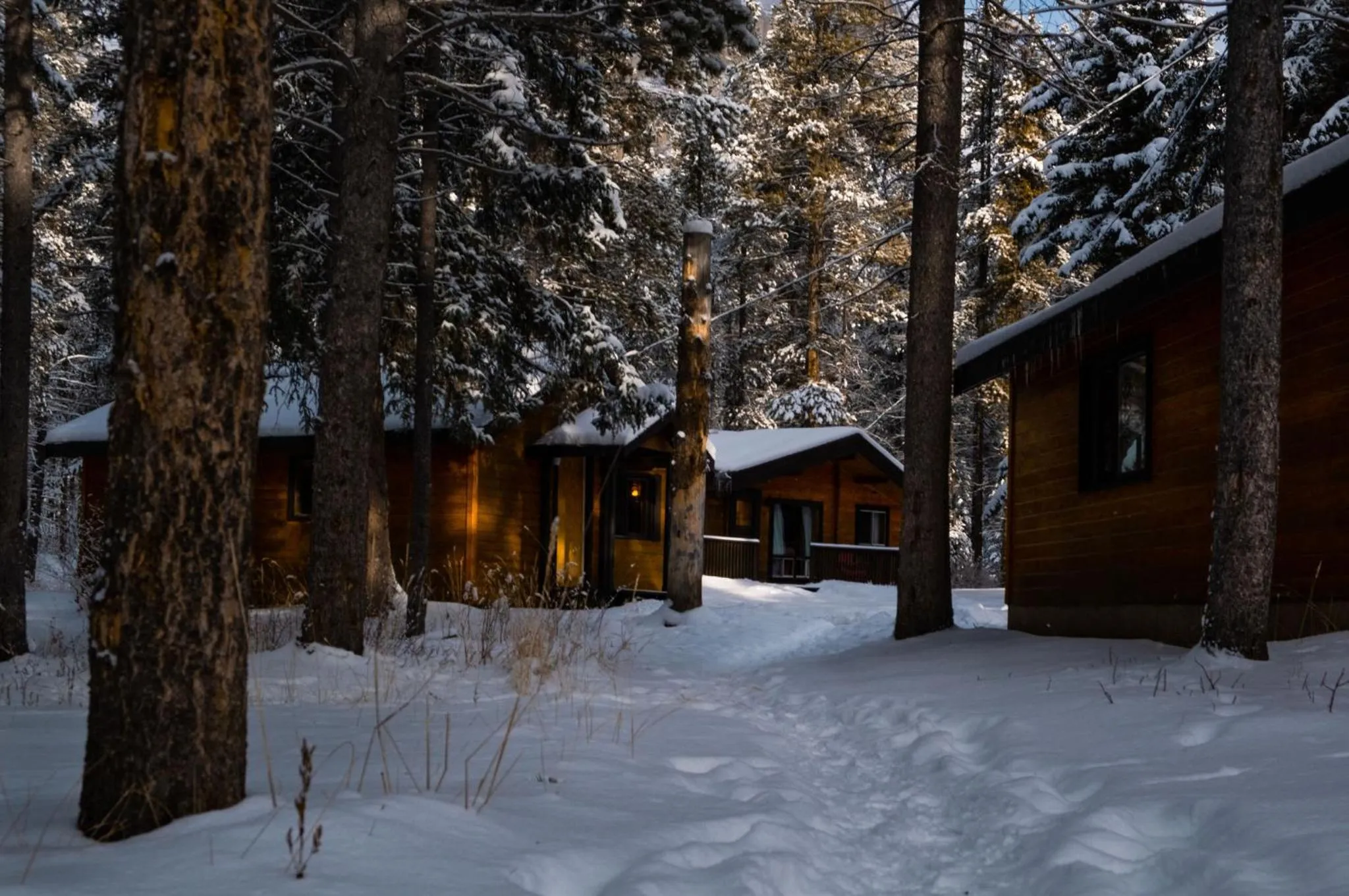 Property building in Castle Mountain Chalets