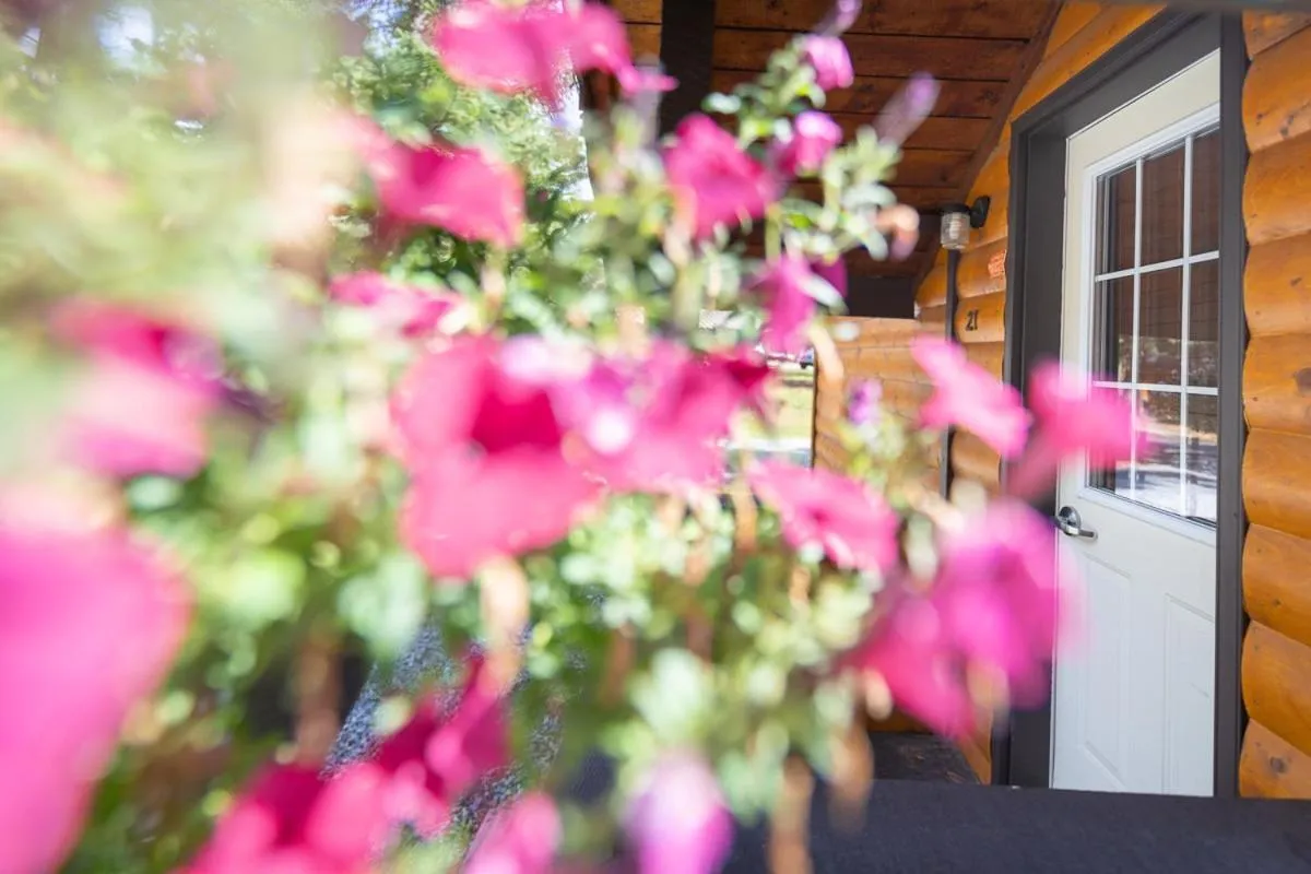 Facade/entrance in Castle Mountain Chalets