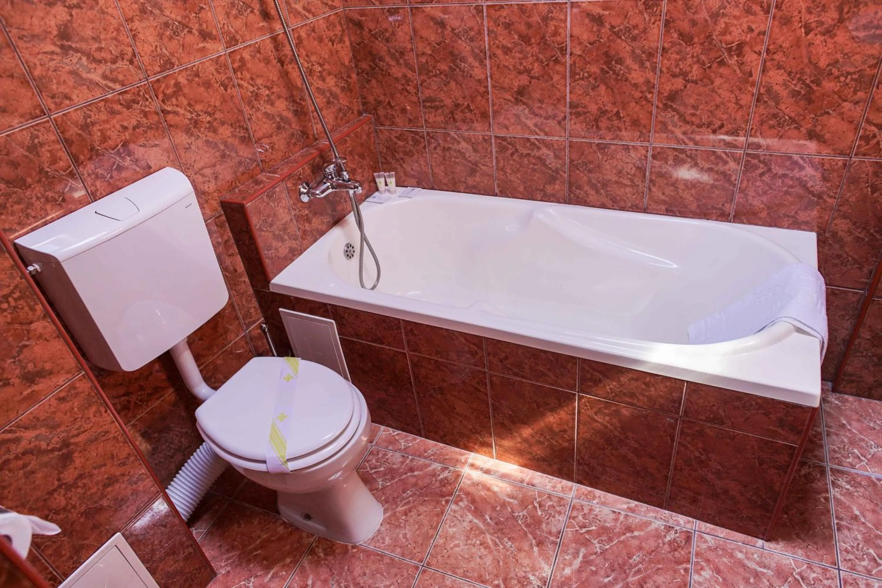 Bucharest Downtown Inn