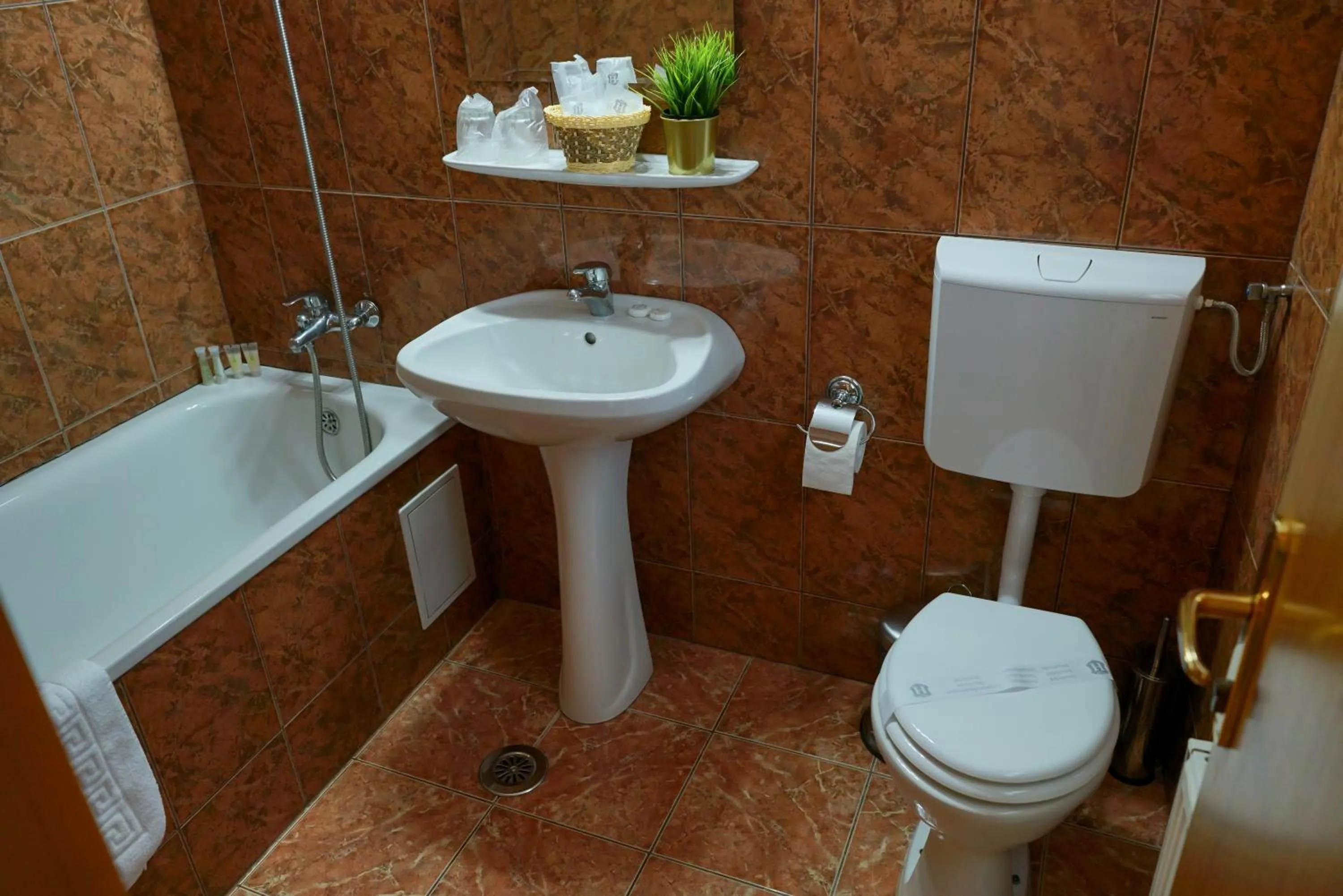 Bucharest Downtown Inn