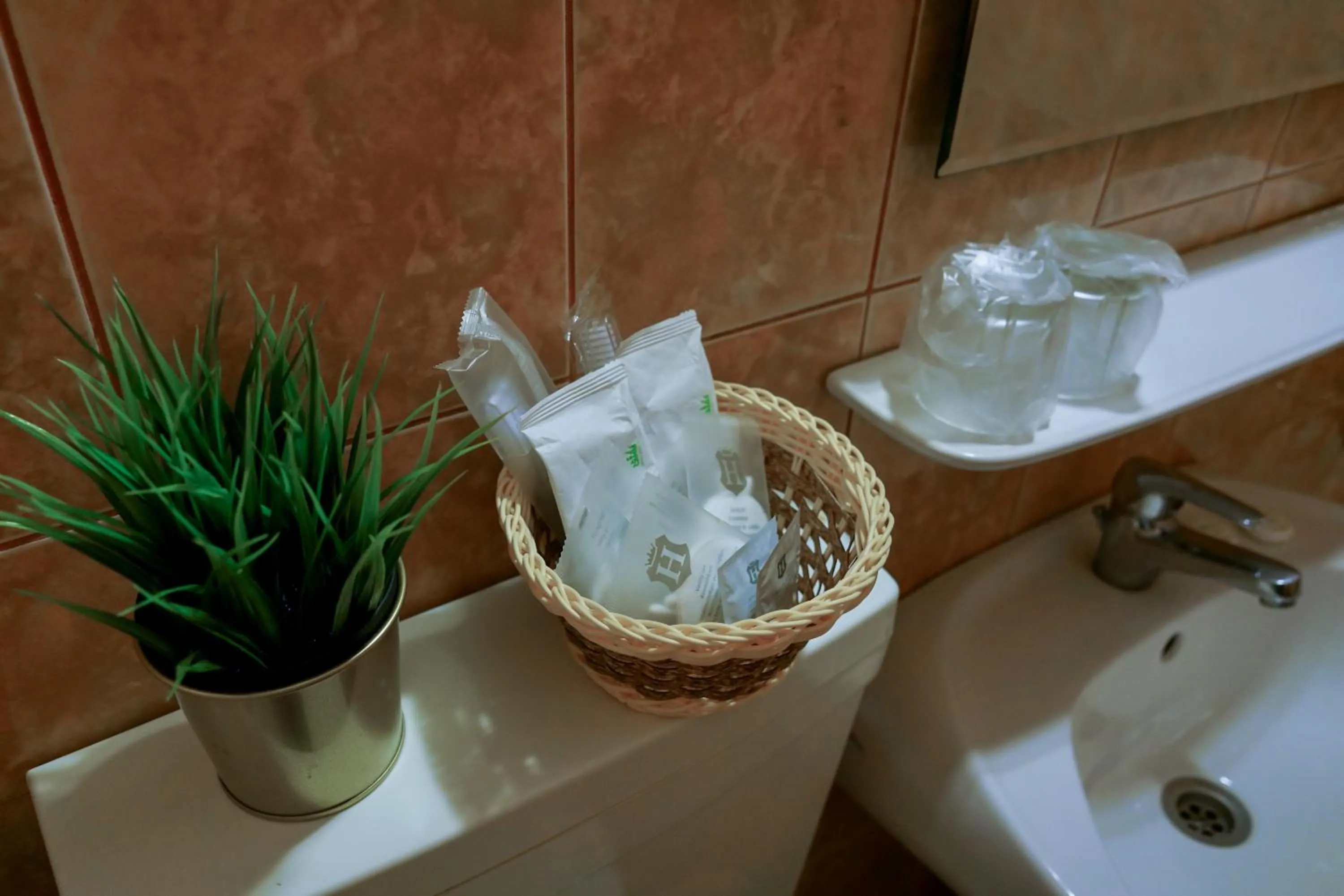 Bucharest Downtown Inn