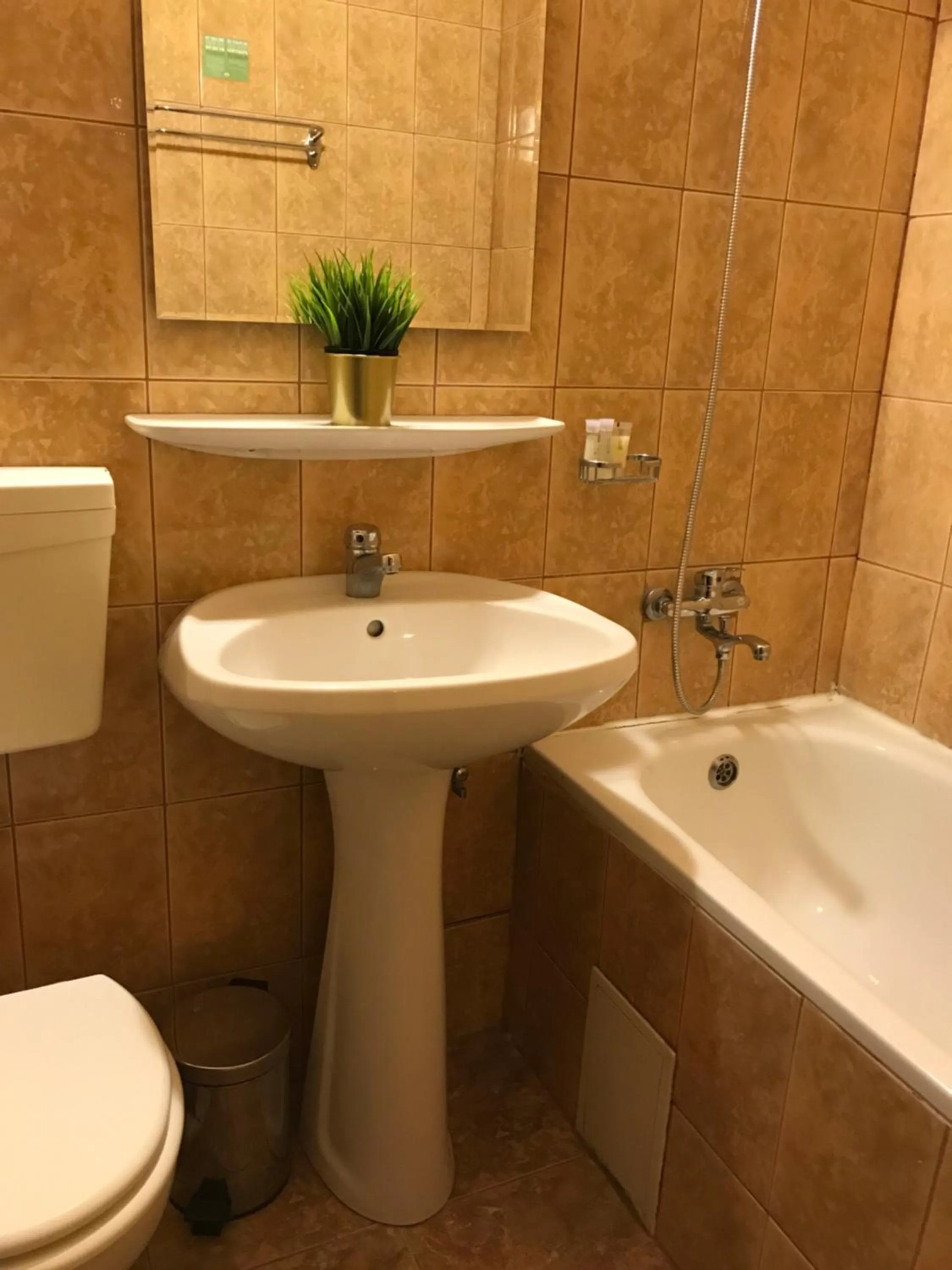 Bucharest Downtown Inn