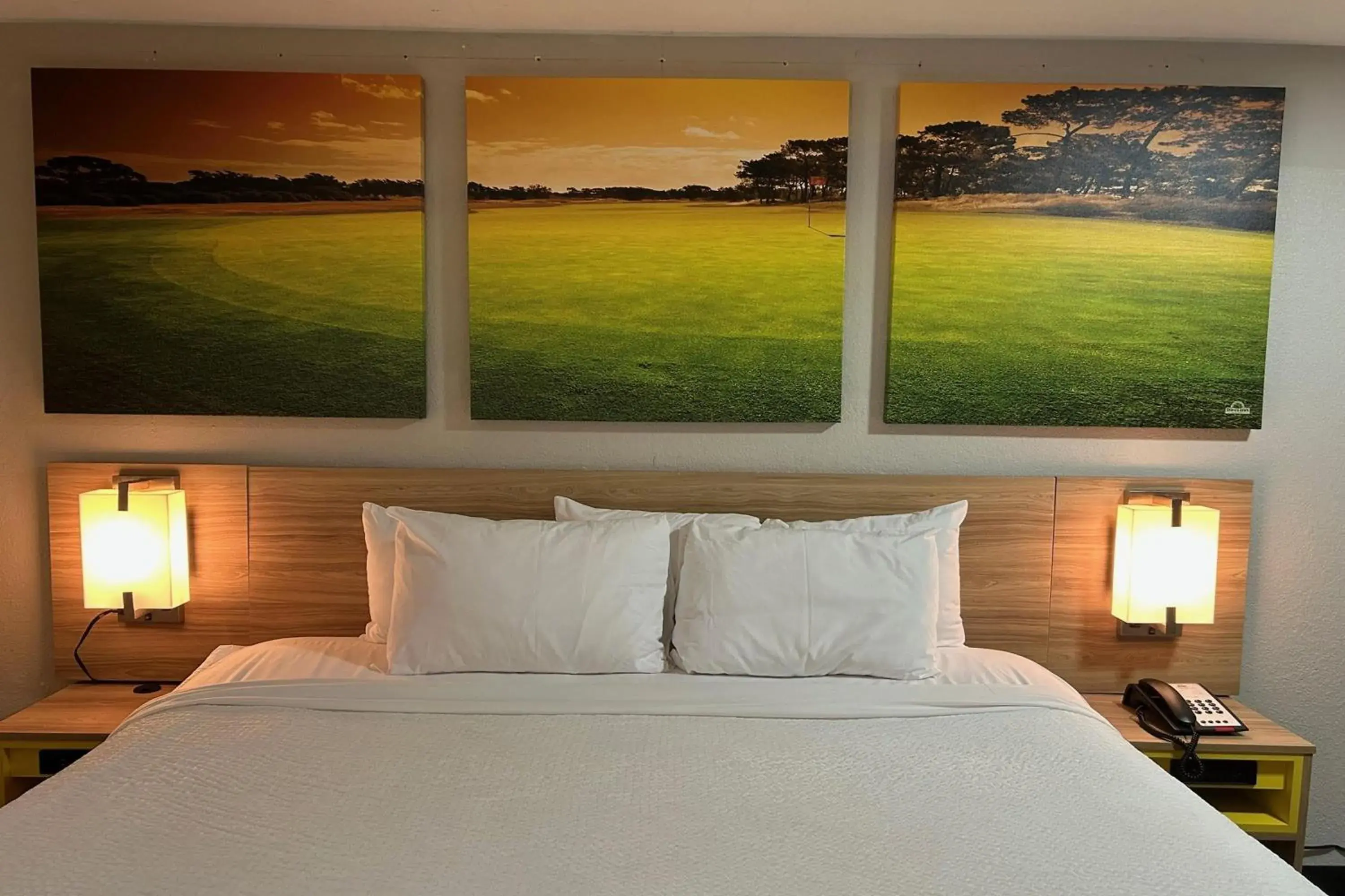 Photo of the whole room, Bed in Days Inn by Wyndham Augusta Fort Eisenhower Photo of the whole room, Bed in Days Inn by Wyndham Augusta Fort Eisenhower