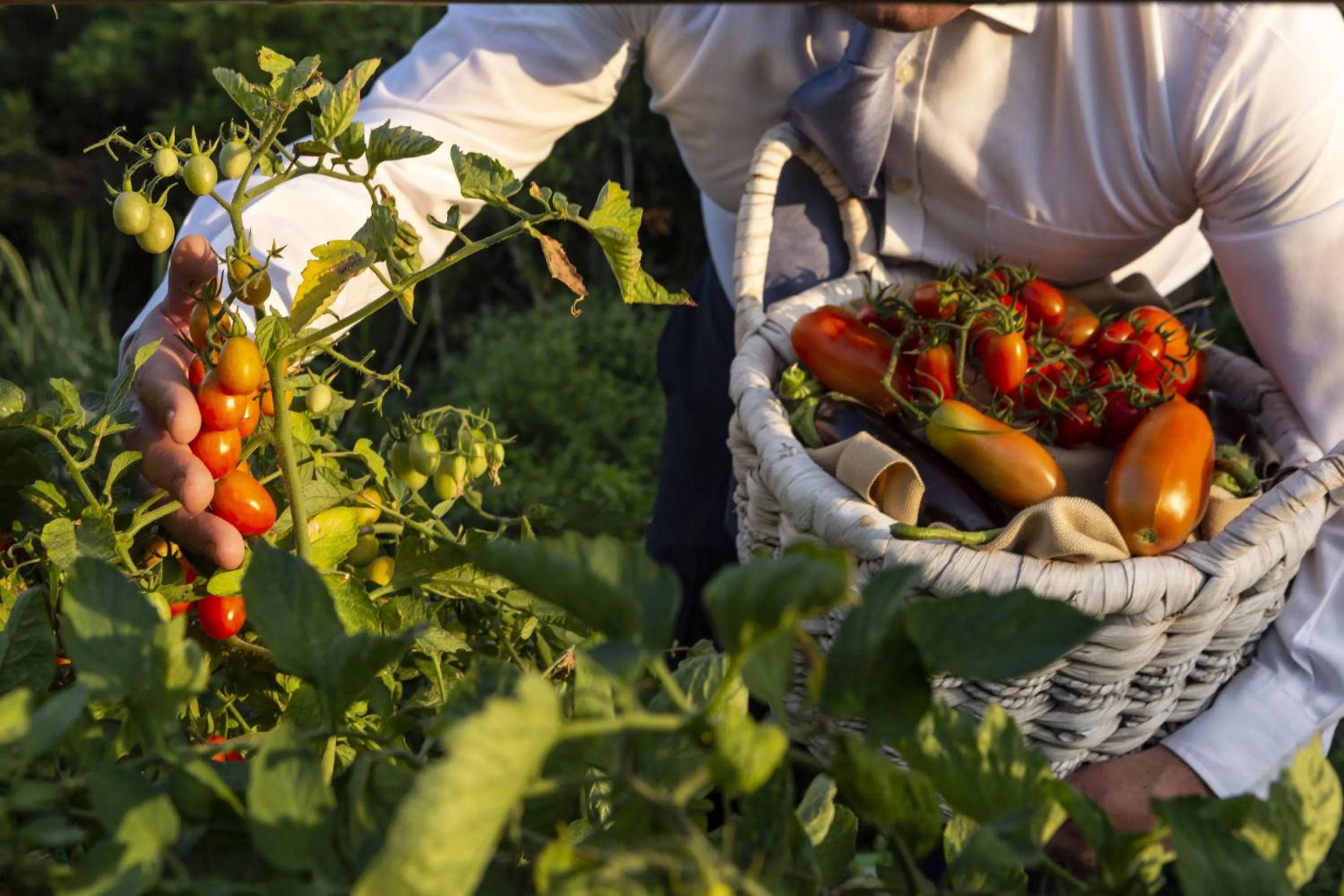 Area and facilities in Hotel Li Finistreddi