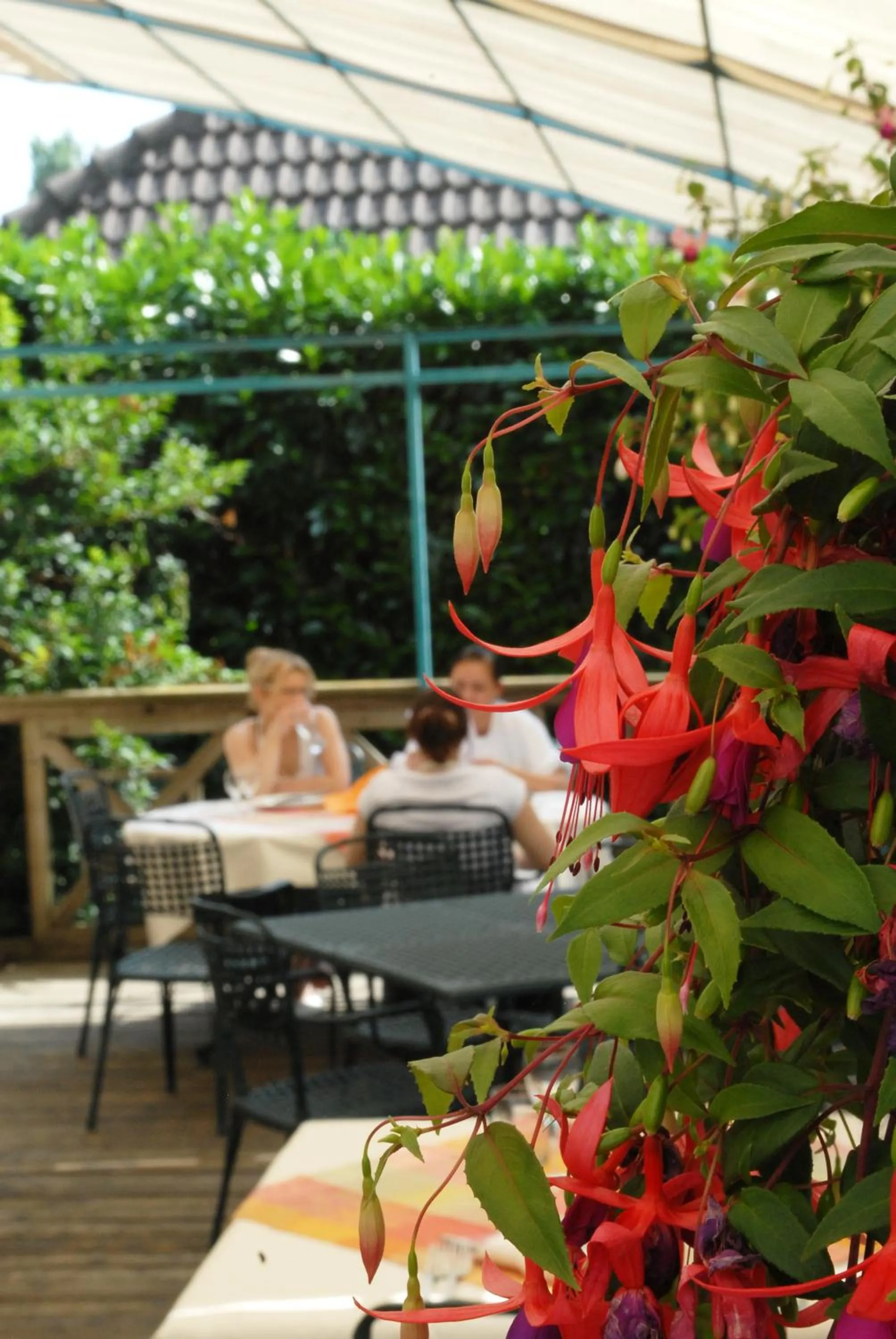 Patio in Logis Hôtel Les Pages