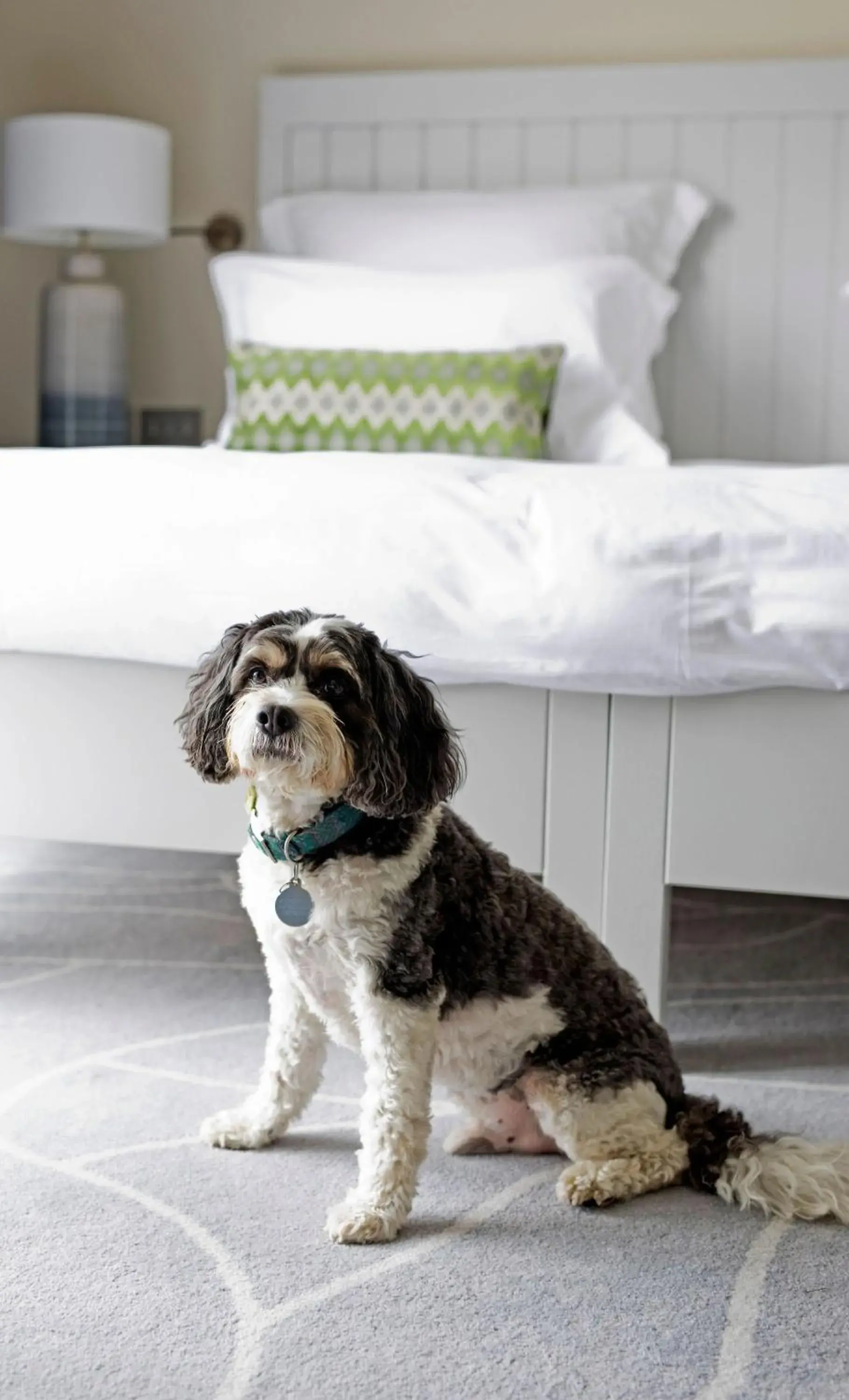 Comfy Double Room - single occupancy in Another Place, The Machrie Comfy Double Room - single occupancy in Another Place, The Machrie