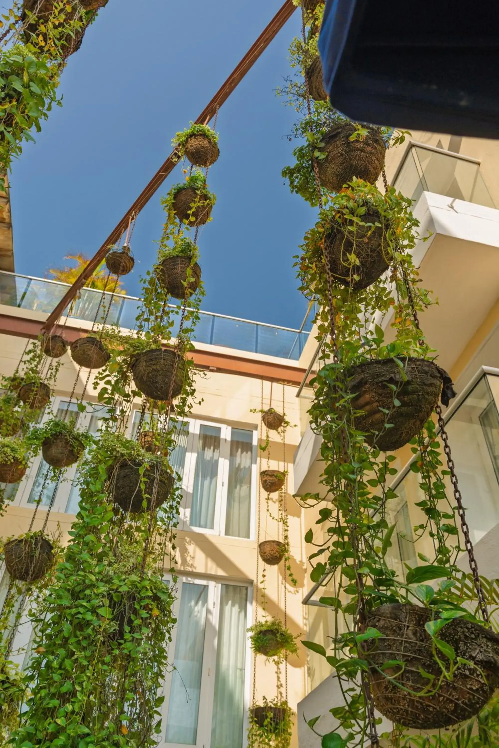 Garden view in Nacar Hotel Cartagena, Curio Collection by Hilton Garden view in Nacar Hotel Cartagena, Curio Collection by Hilton