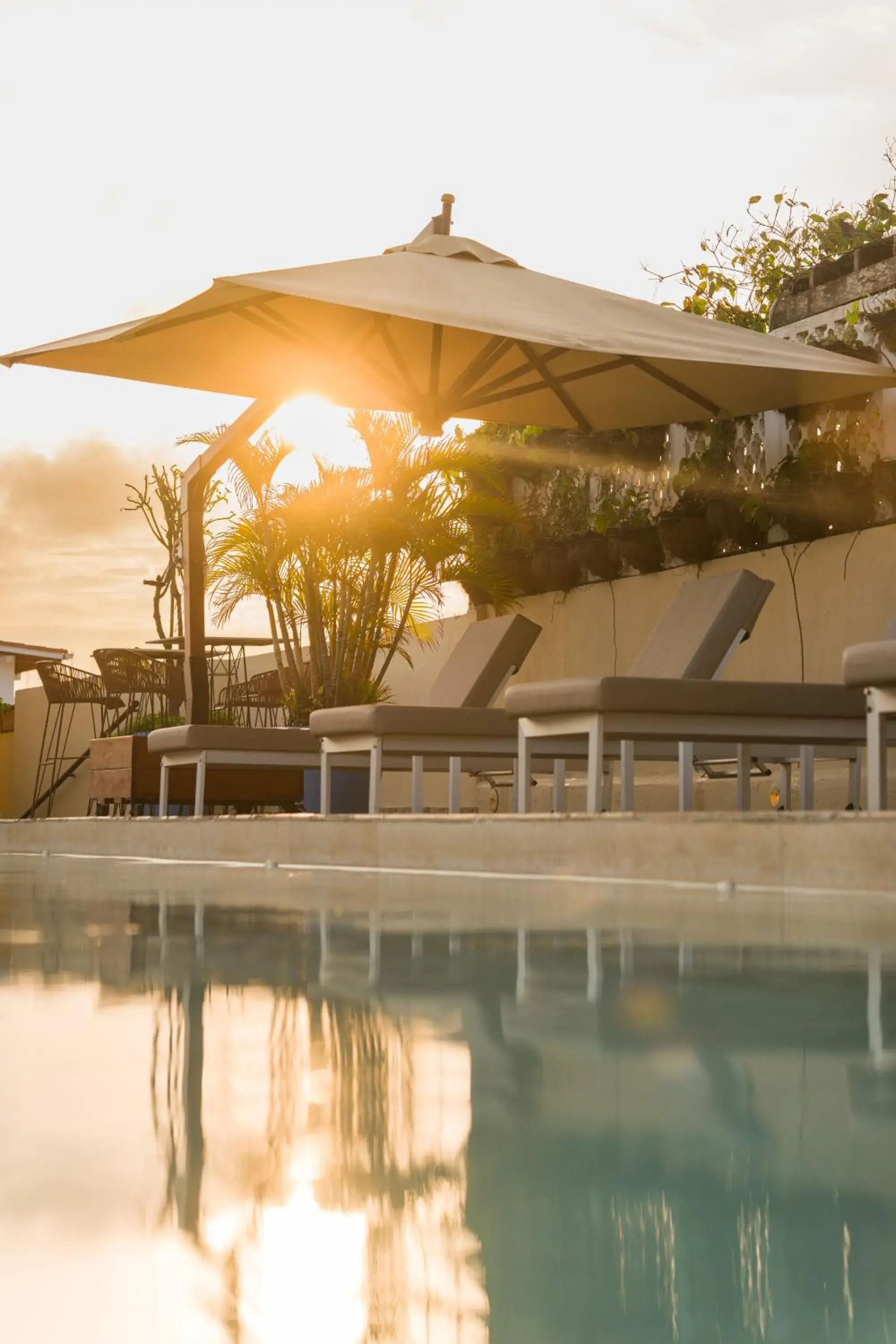 Pool view in Nacar Hotel Cartagena, Curio Collection by Hilton Pool view in Nacar Hotel Cartagena, Curio Collection by Hilton
