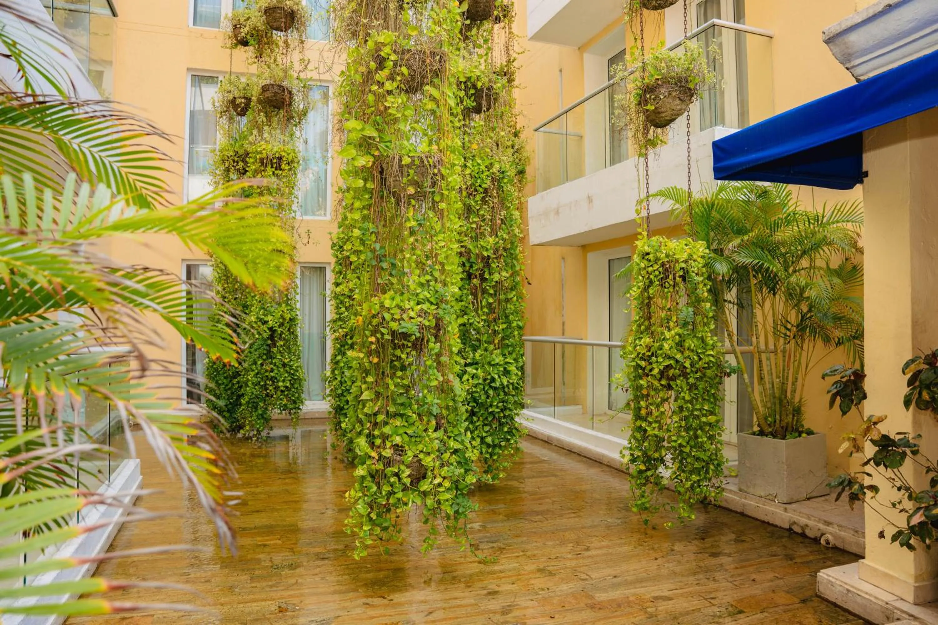 Garden view in Nacar Hotel Cartagena, Curio Collection by Hilton