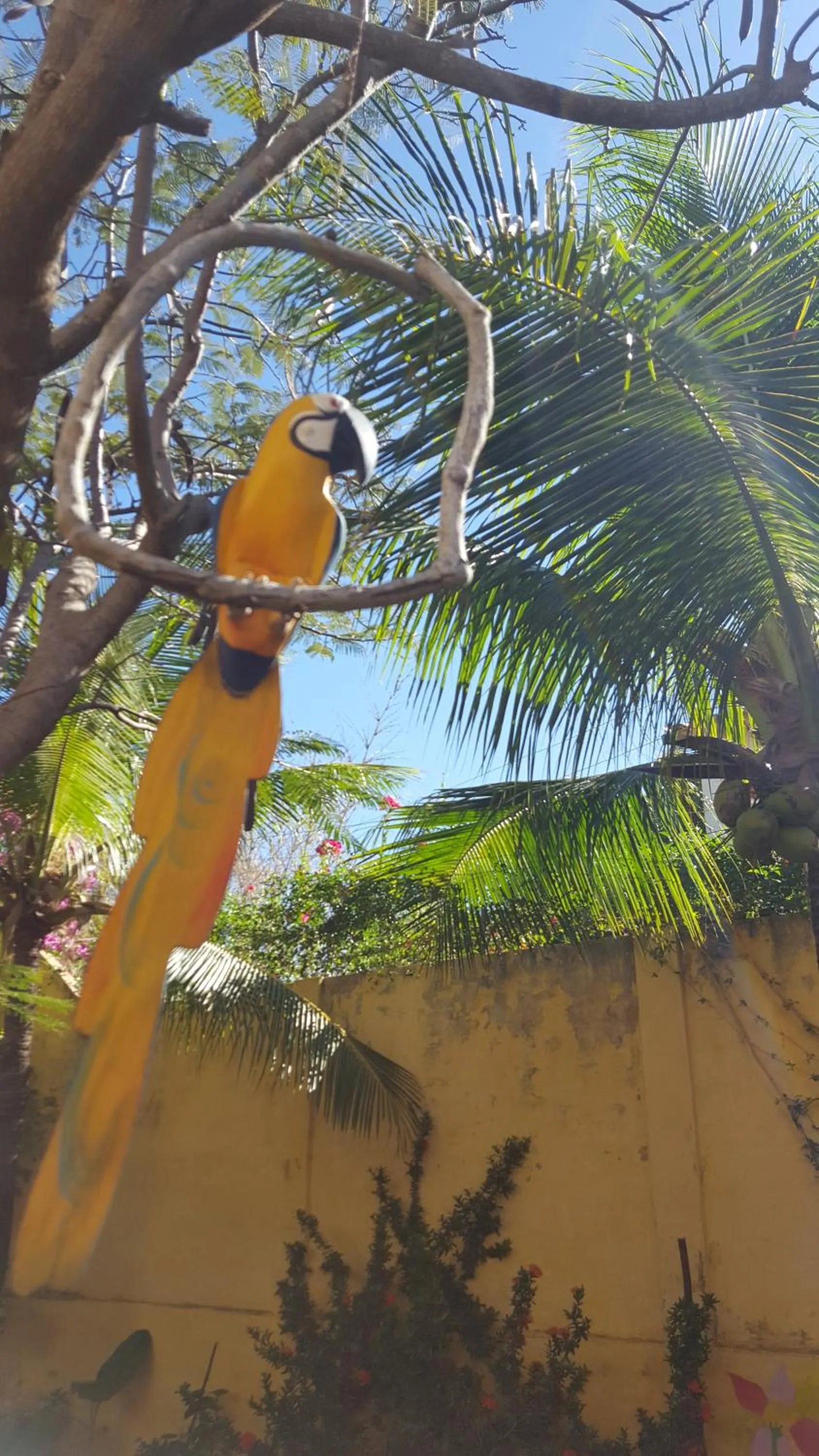 Pousada Agua Marinha