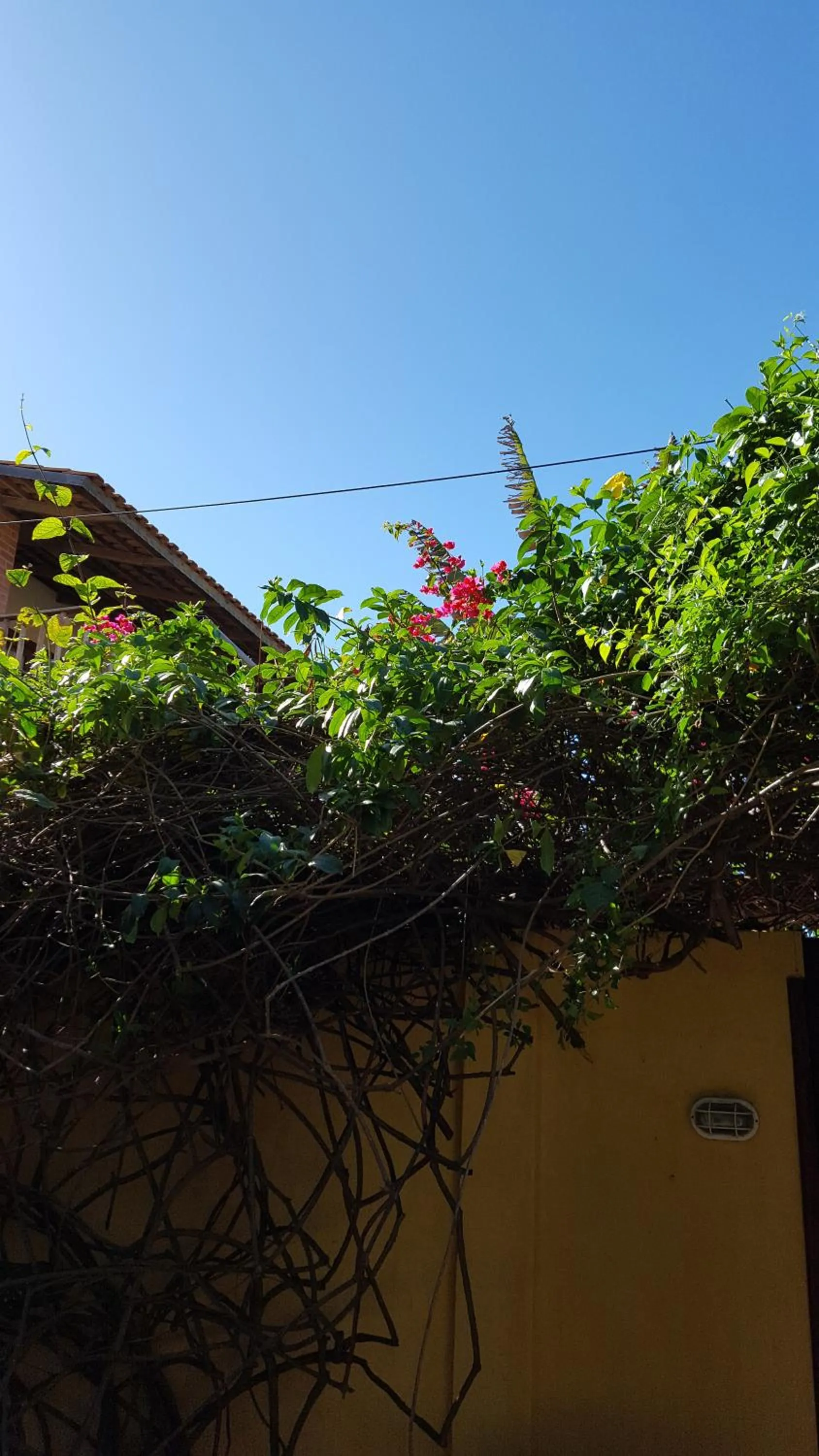 Pousada Agua Marinha