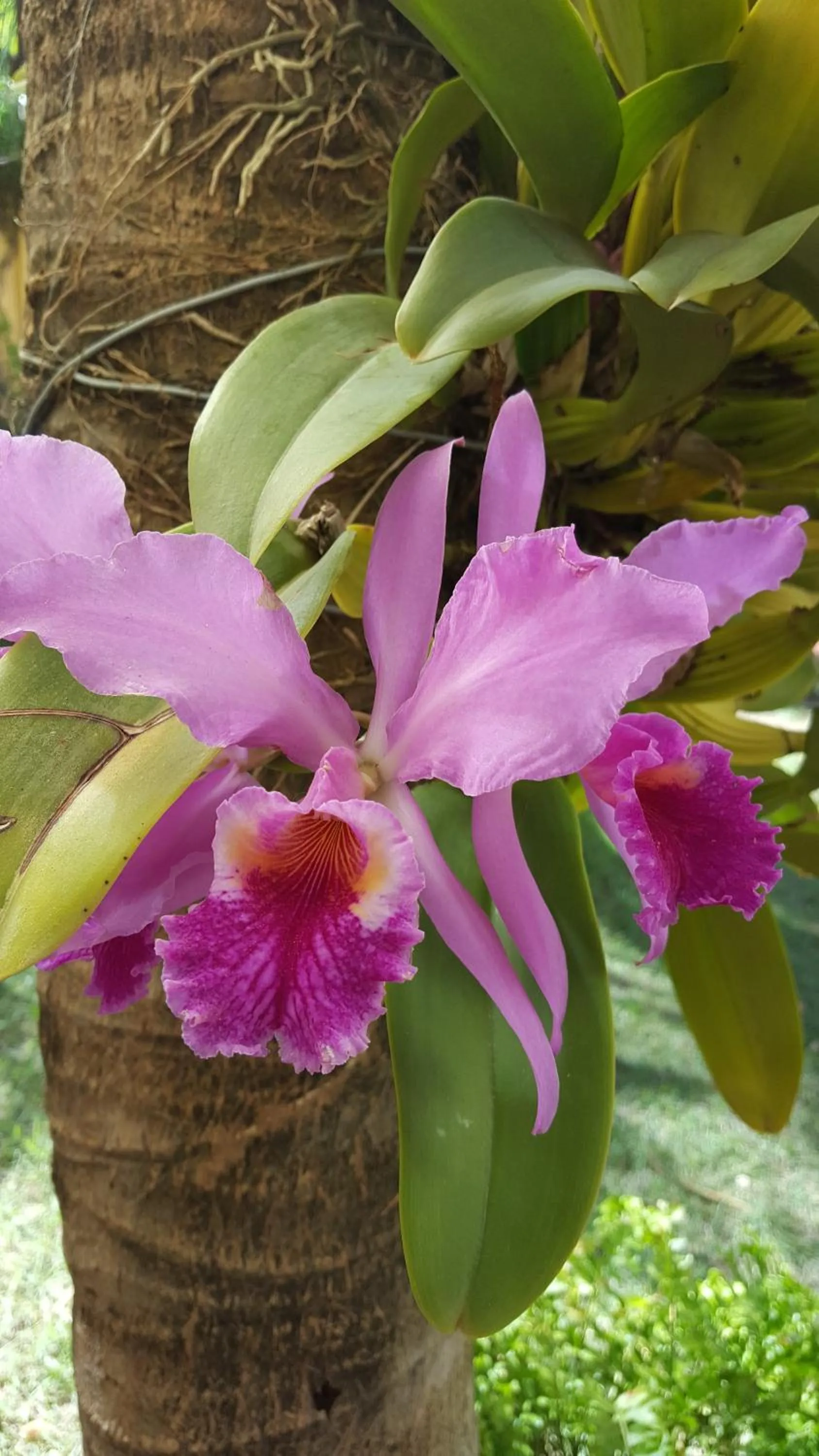 Pousada Agua Marinha