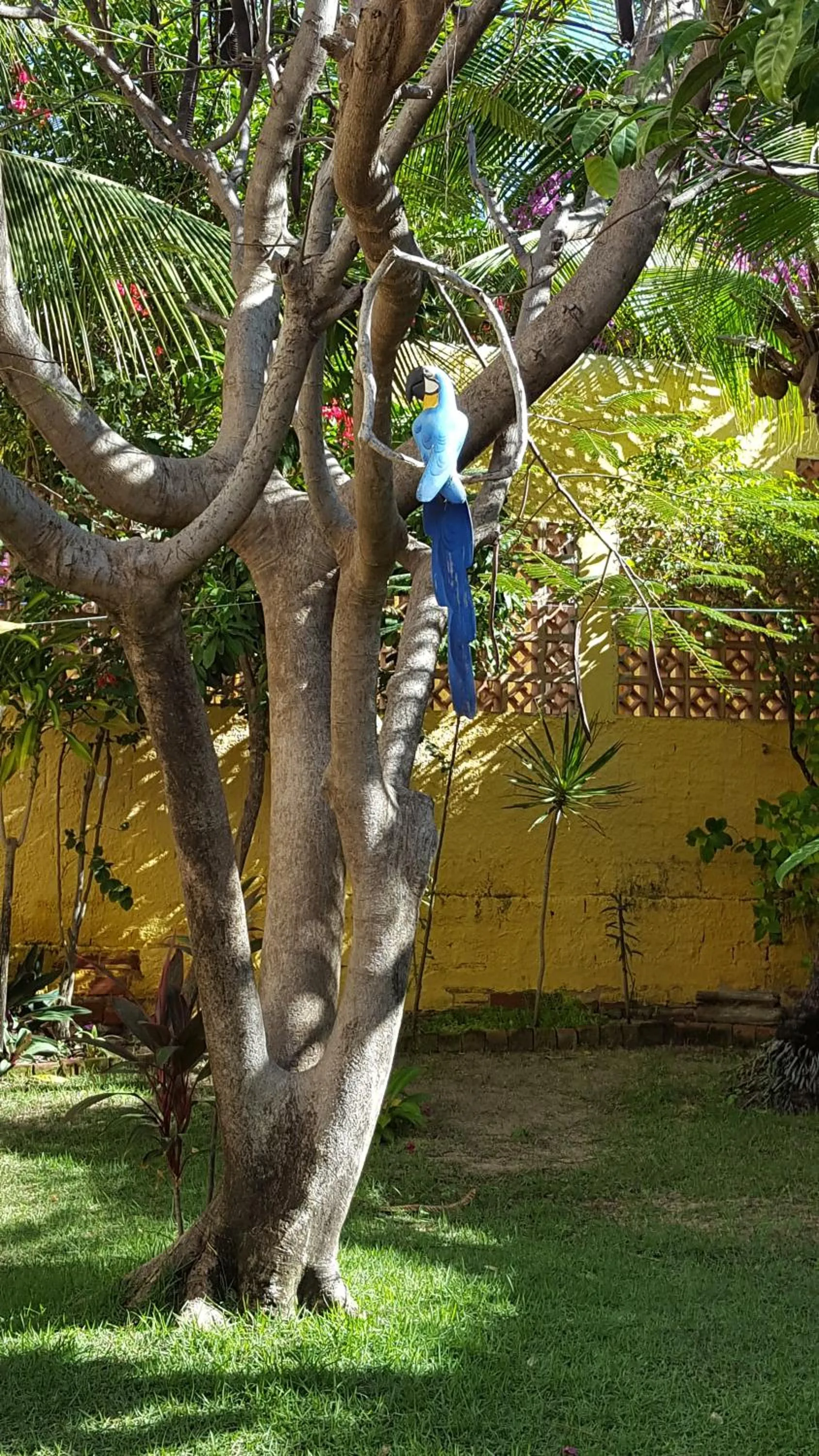 Pousada Agua Marinha