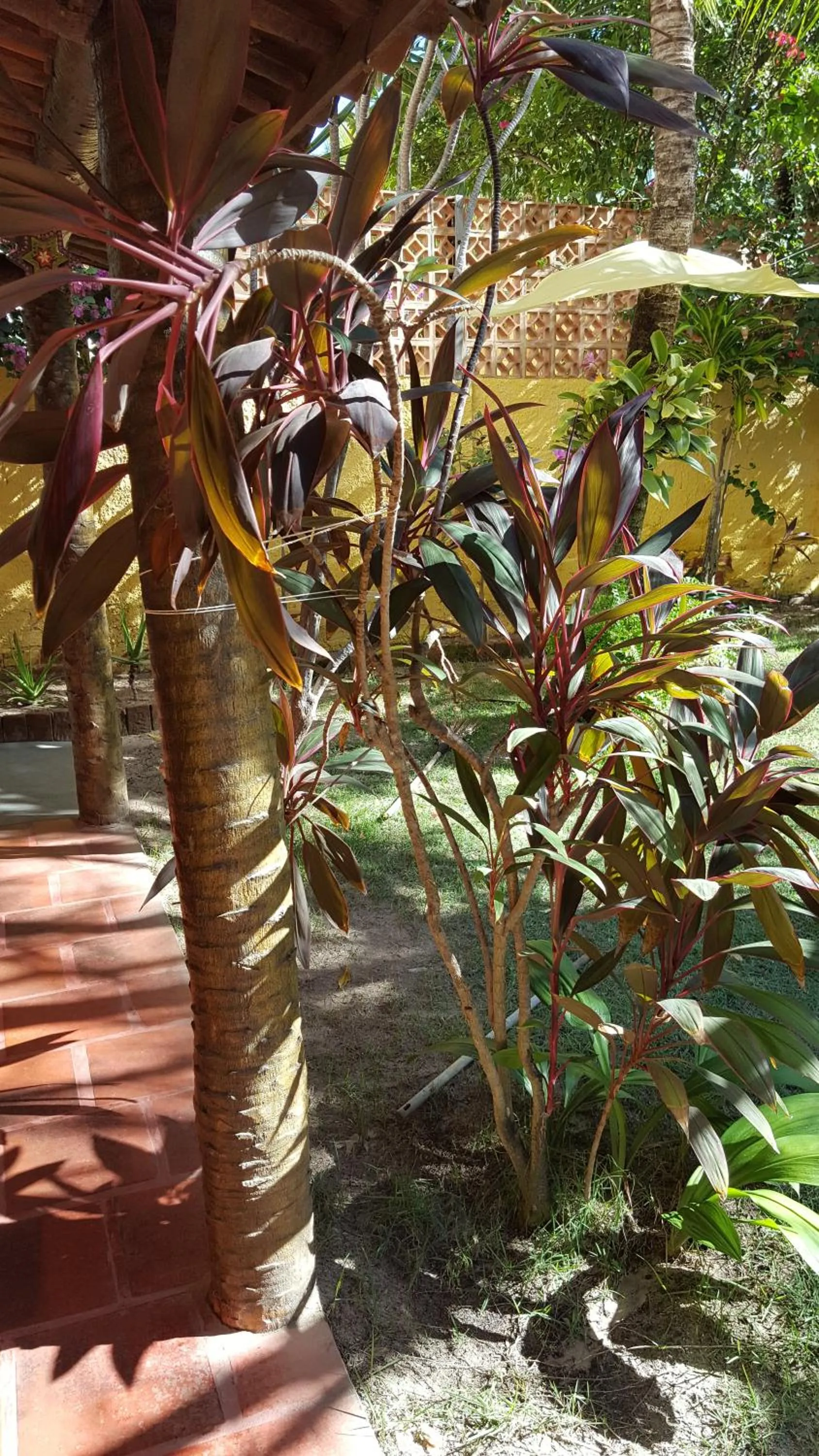 Pousada Agua Marinha