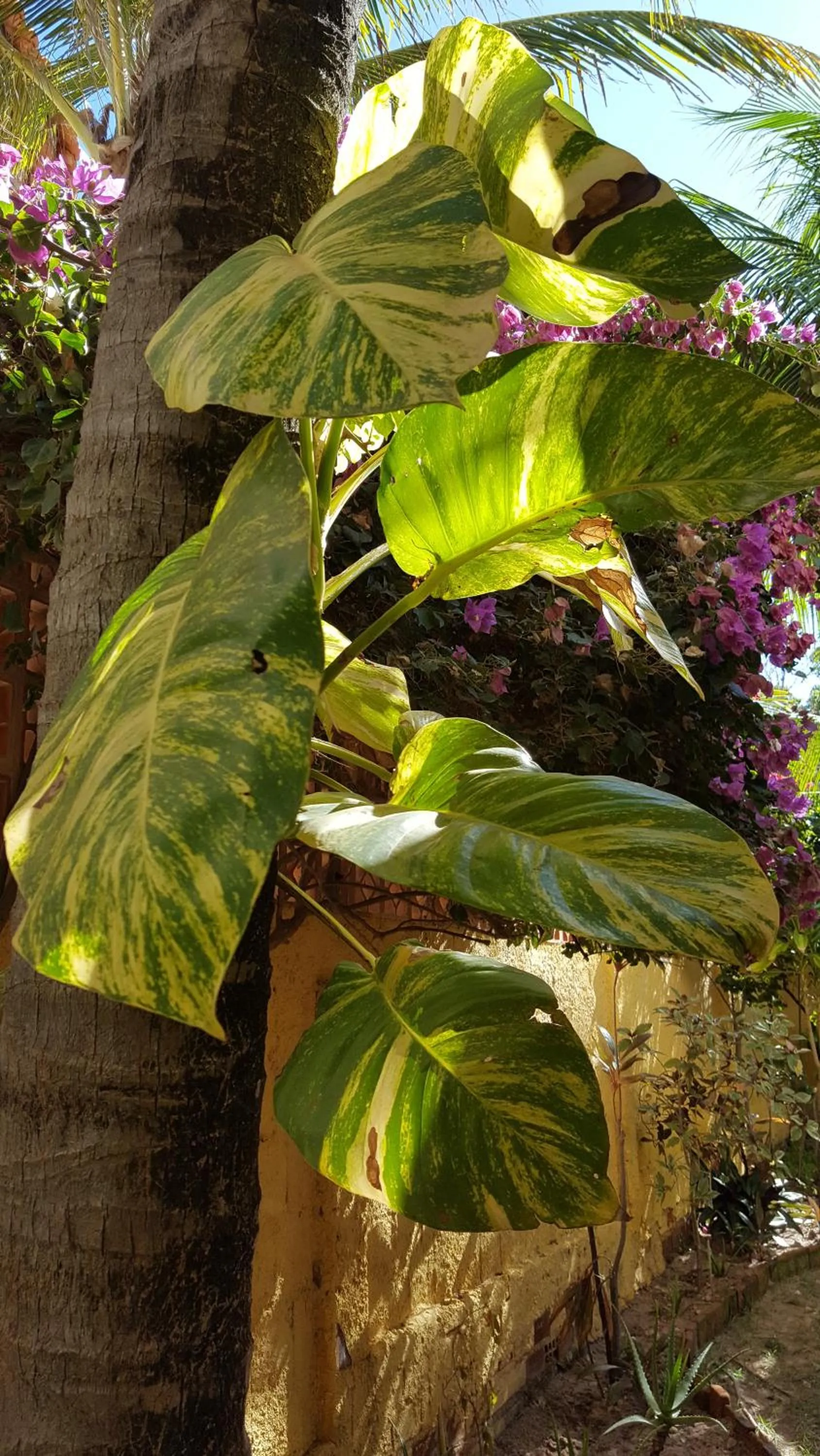 Pousada Agua Marinha