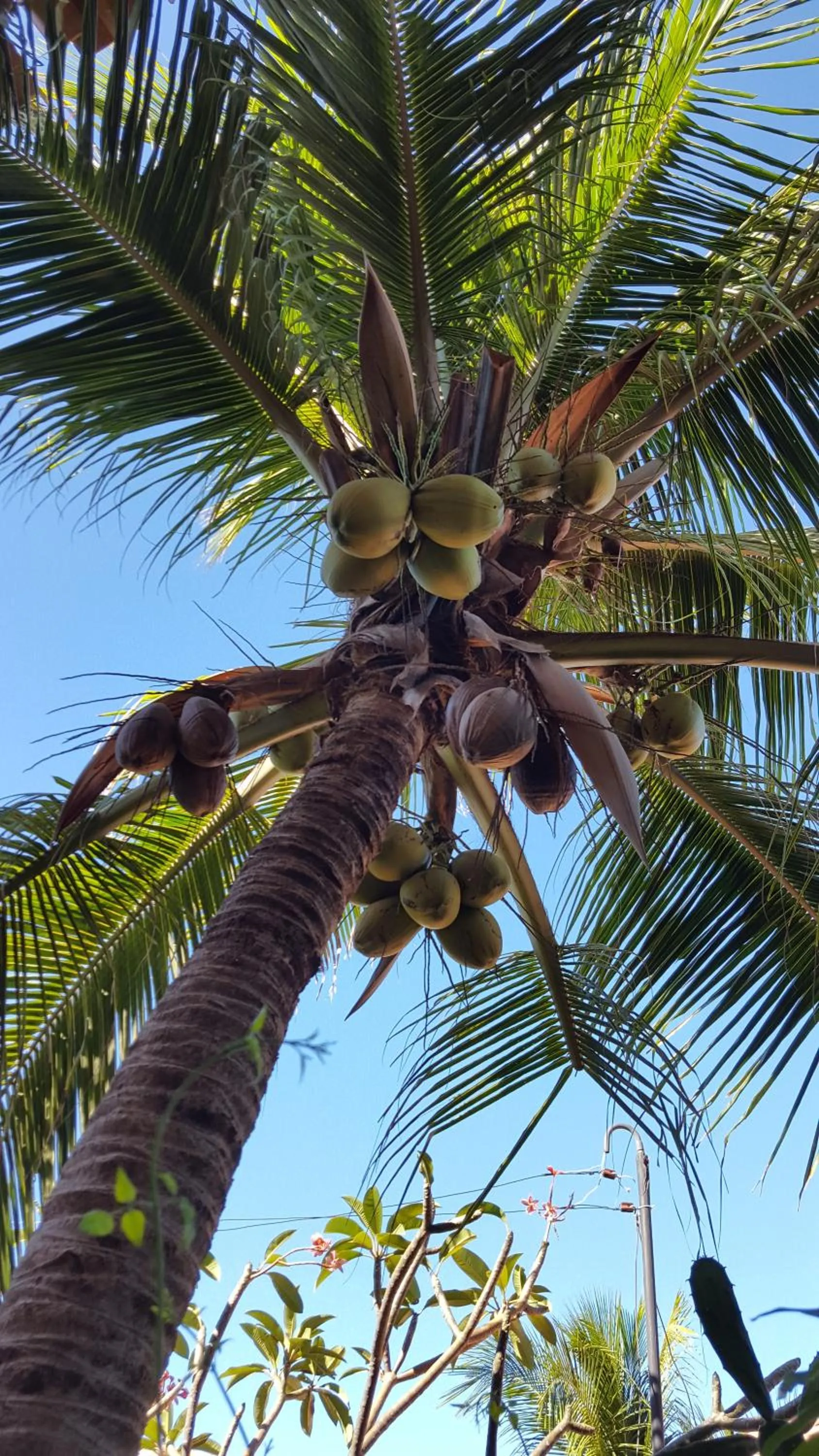 Pousada Agua Marinha
