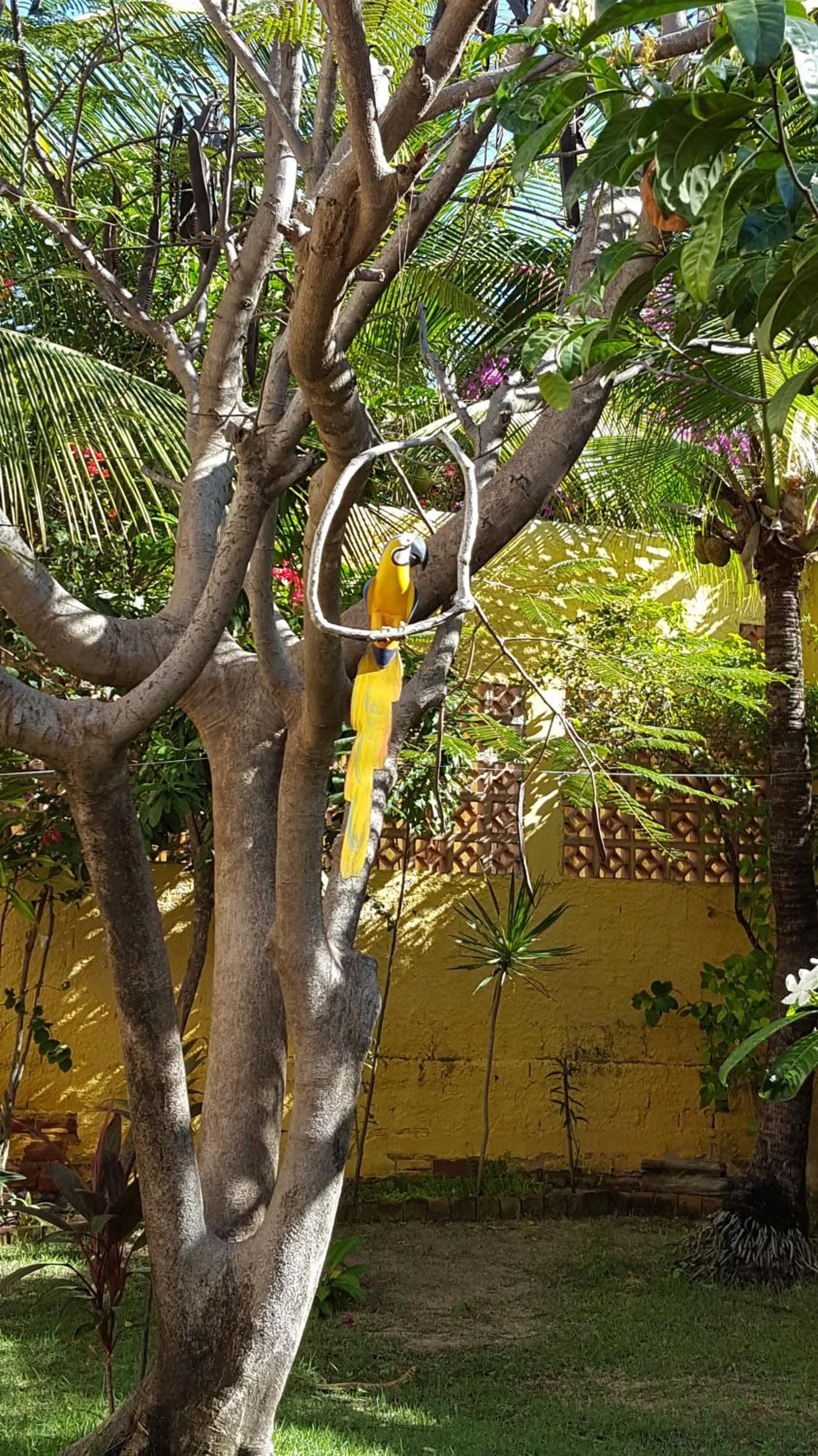 Pousada Agua Marinha