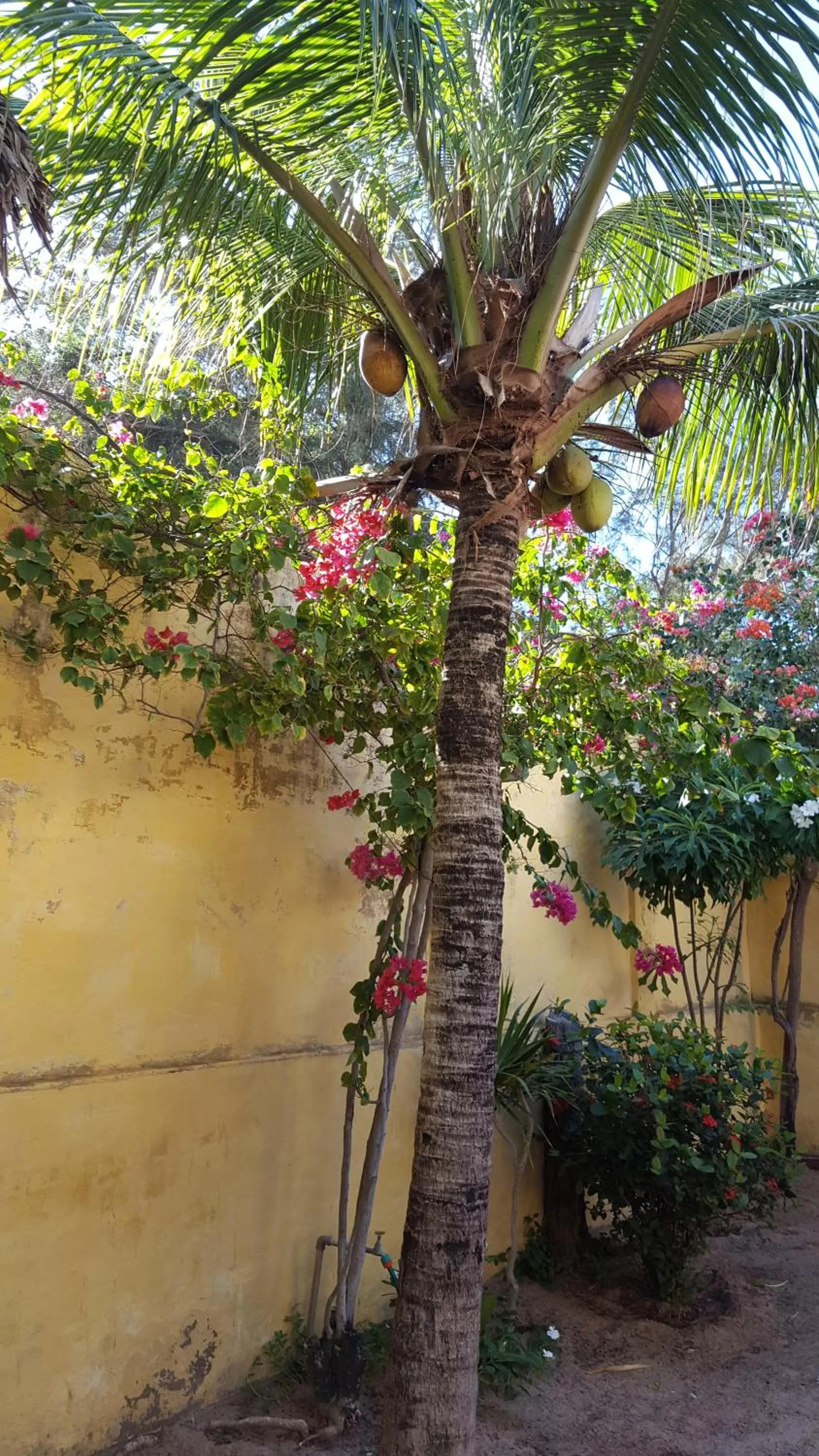 Pousada Agua Marinha