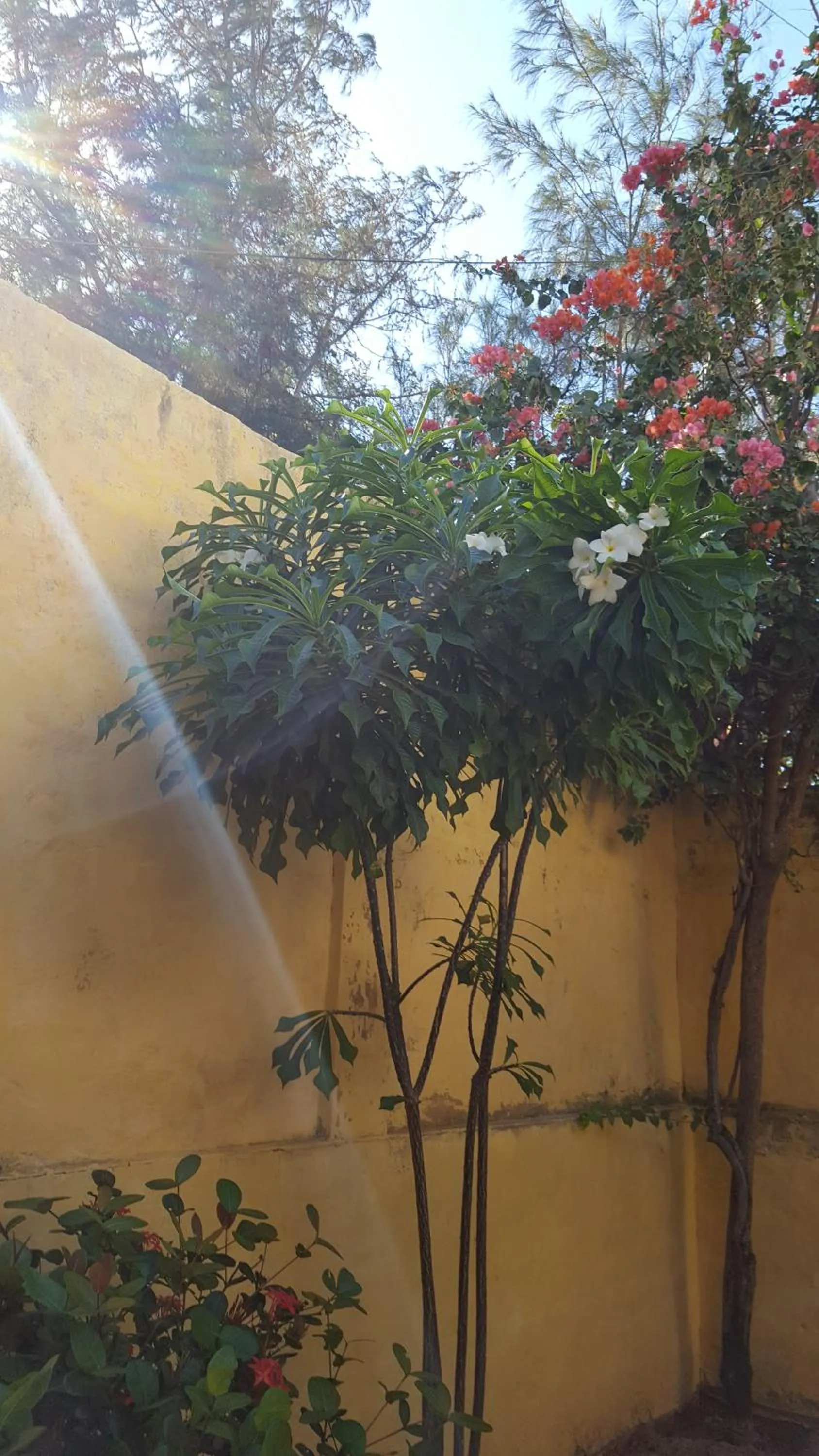 Pousada Agua Marinha