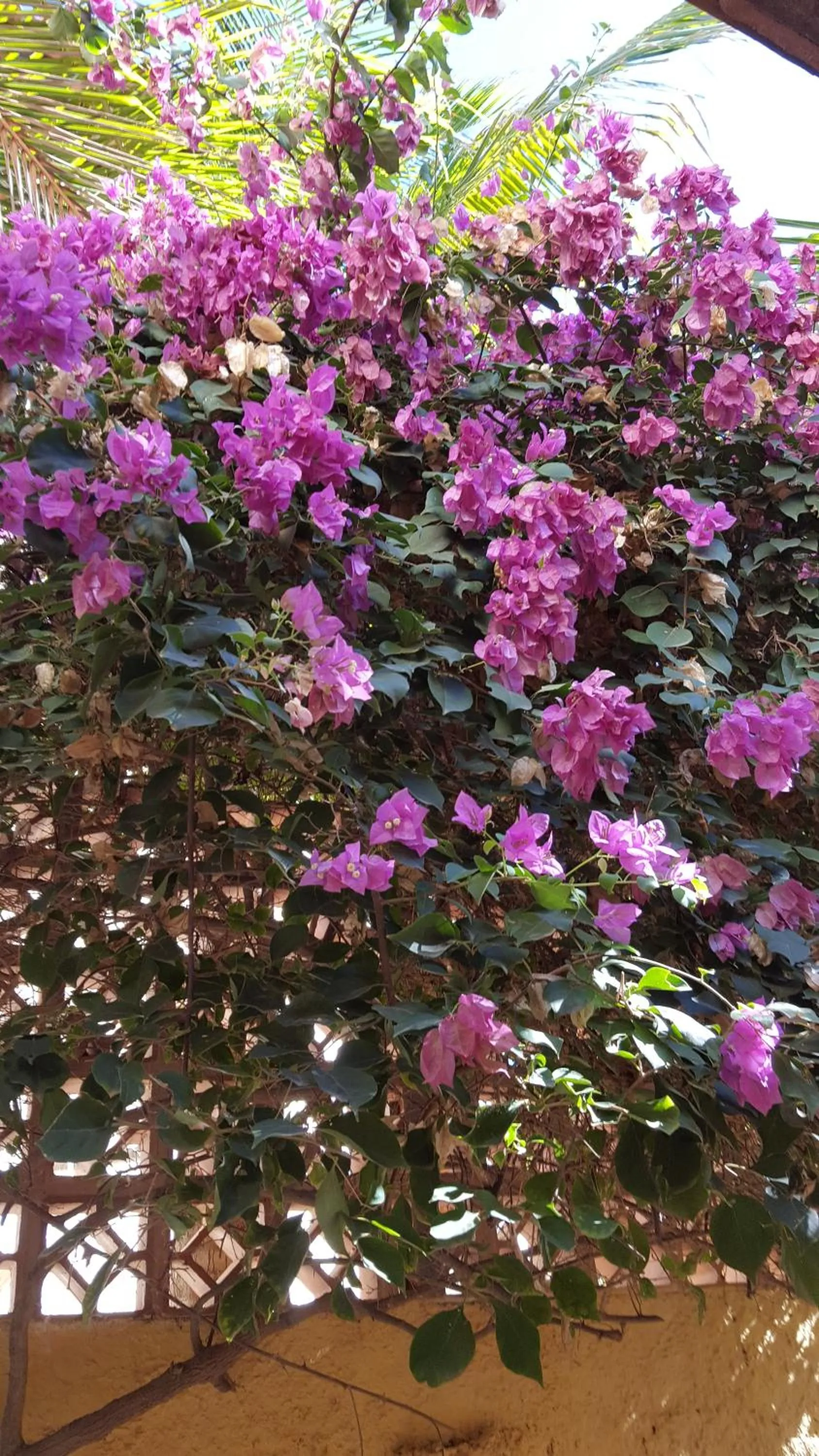 Pousada Agua Marinha