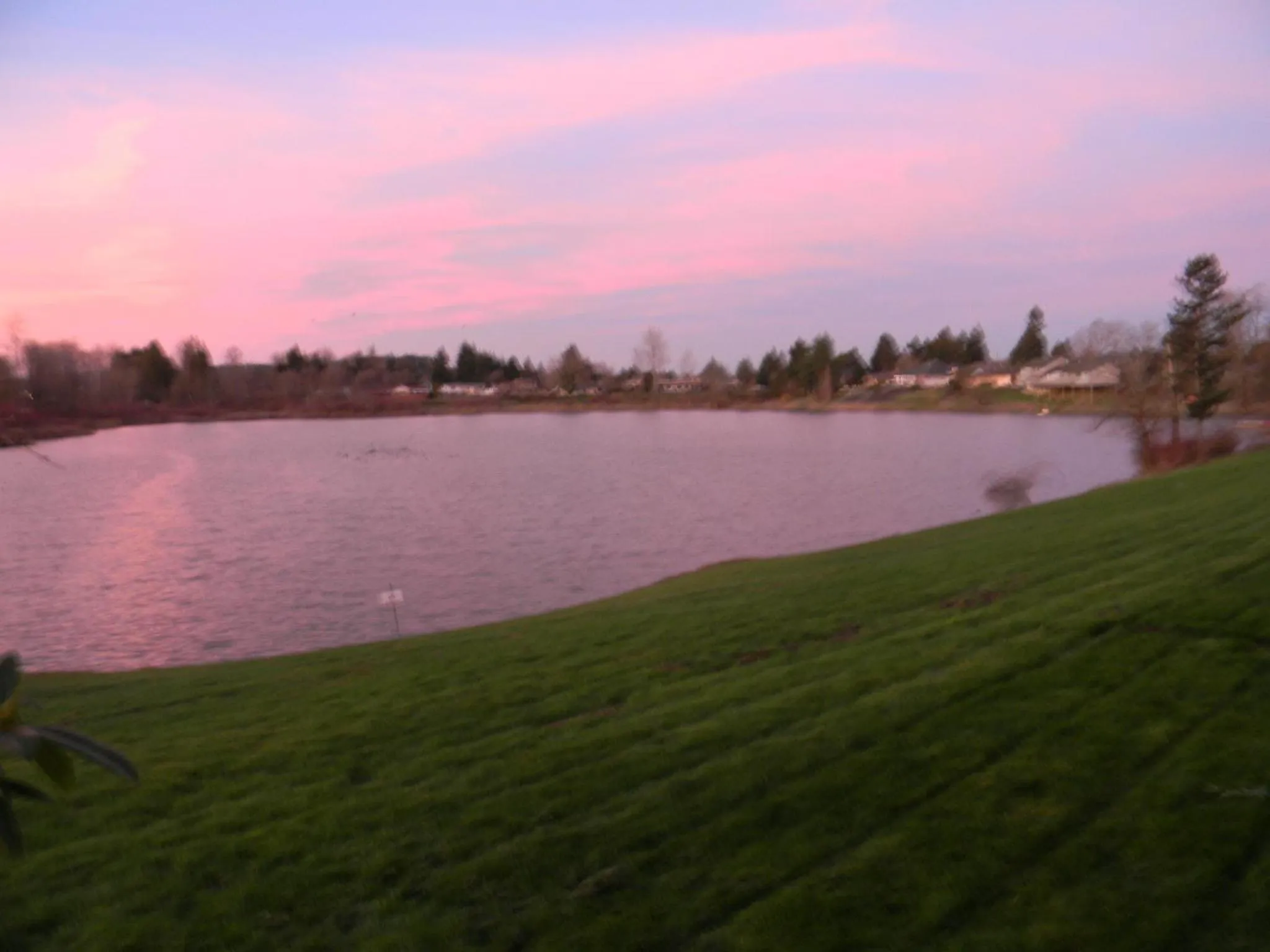 View (from property/room) in Lakeview Inn Centralia