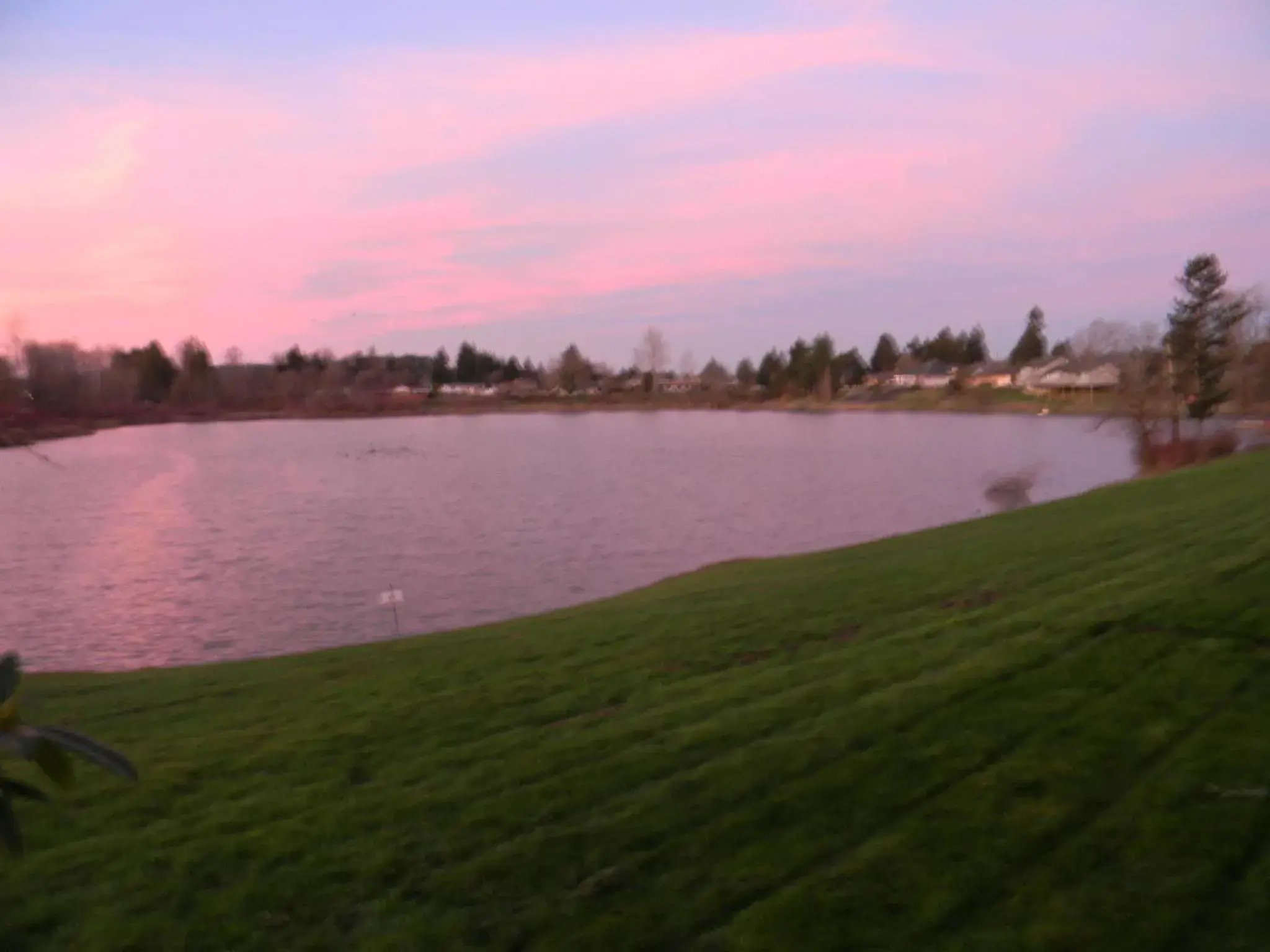 View (from property/room) in Lakeview Inn Centralia View (from property/room) in Lakeview Inn Centralia