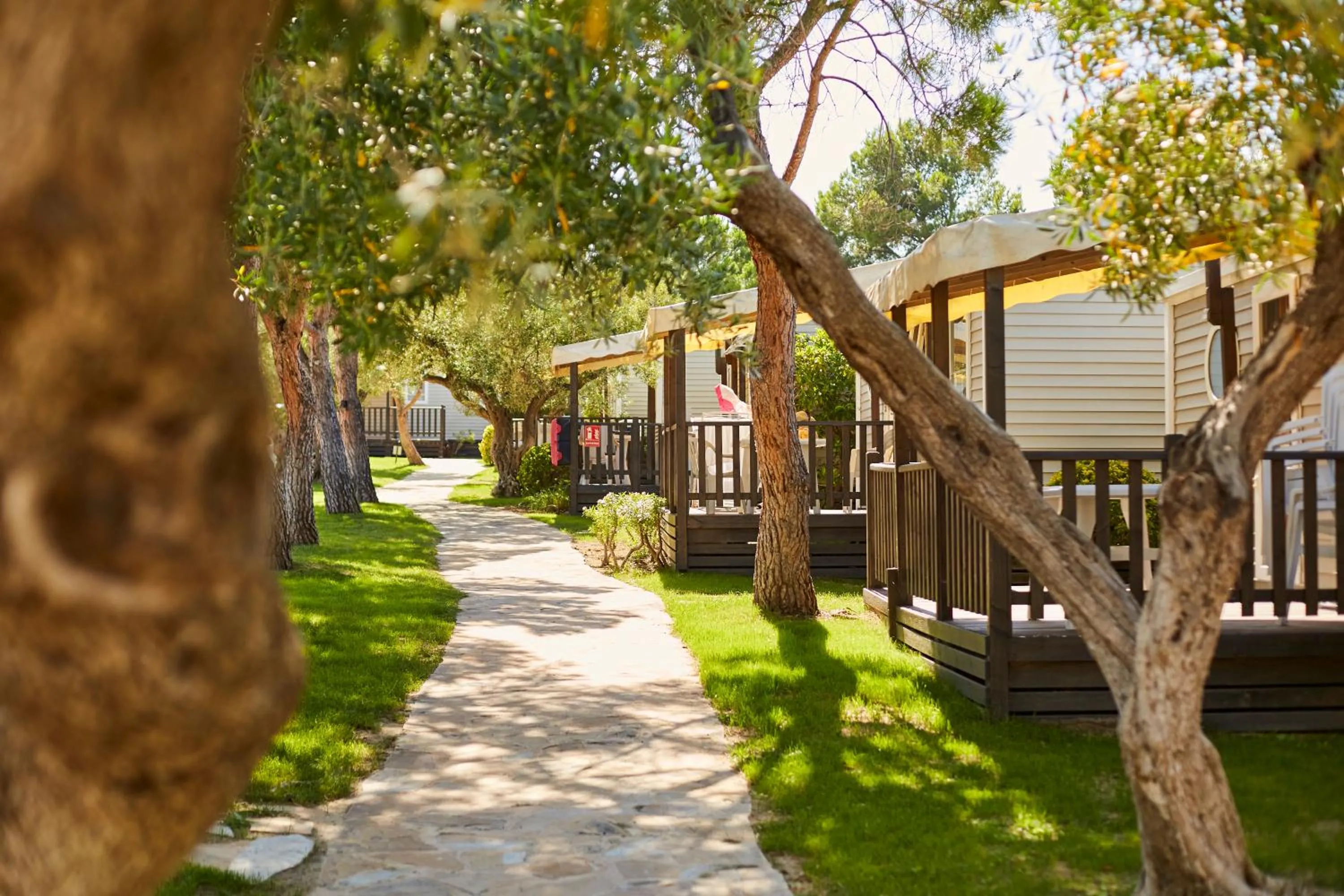 Alannia Costa Dorada