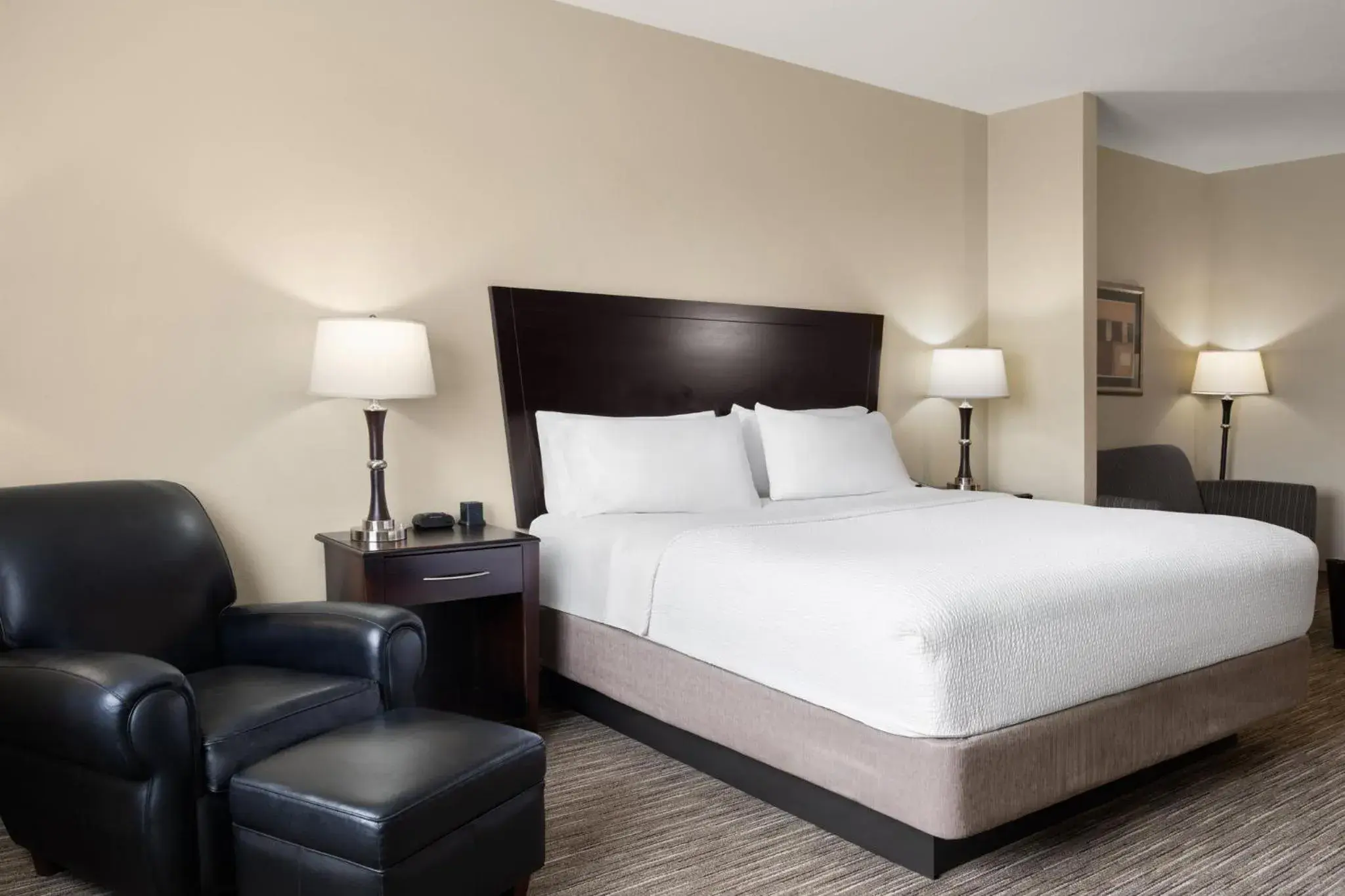 Photo of the whole room in Holiday Inn Express and Suites Snyder by IHG Photo of the whole room in Holiday Inn Express and Suites Snyder by IHG