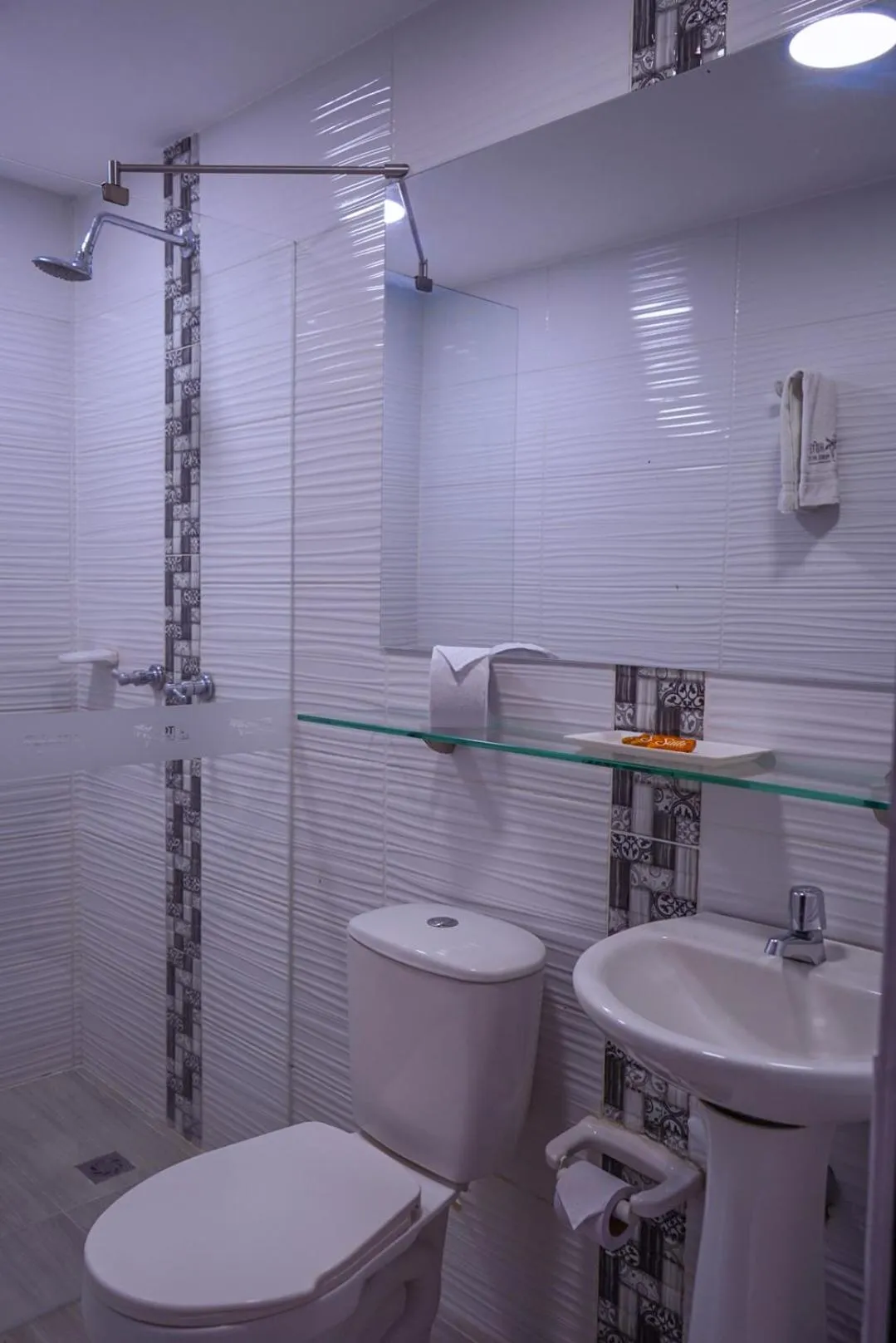 Shower in Hotel Palmas del Estadio